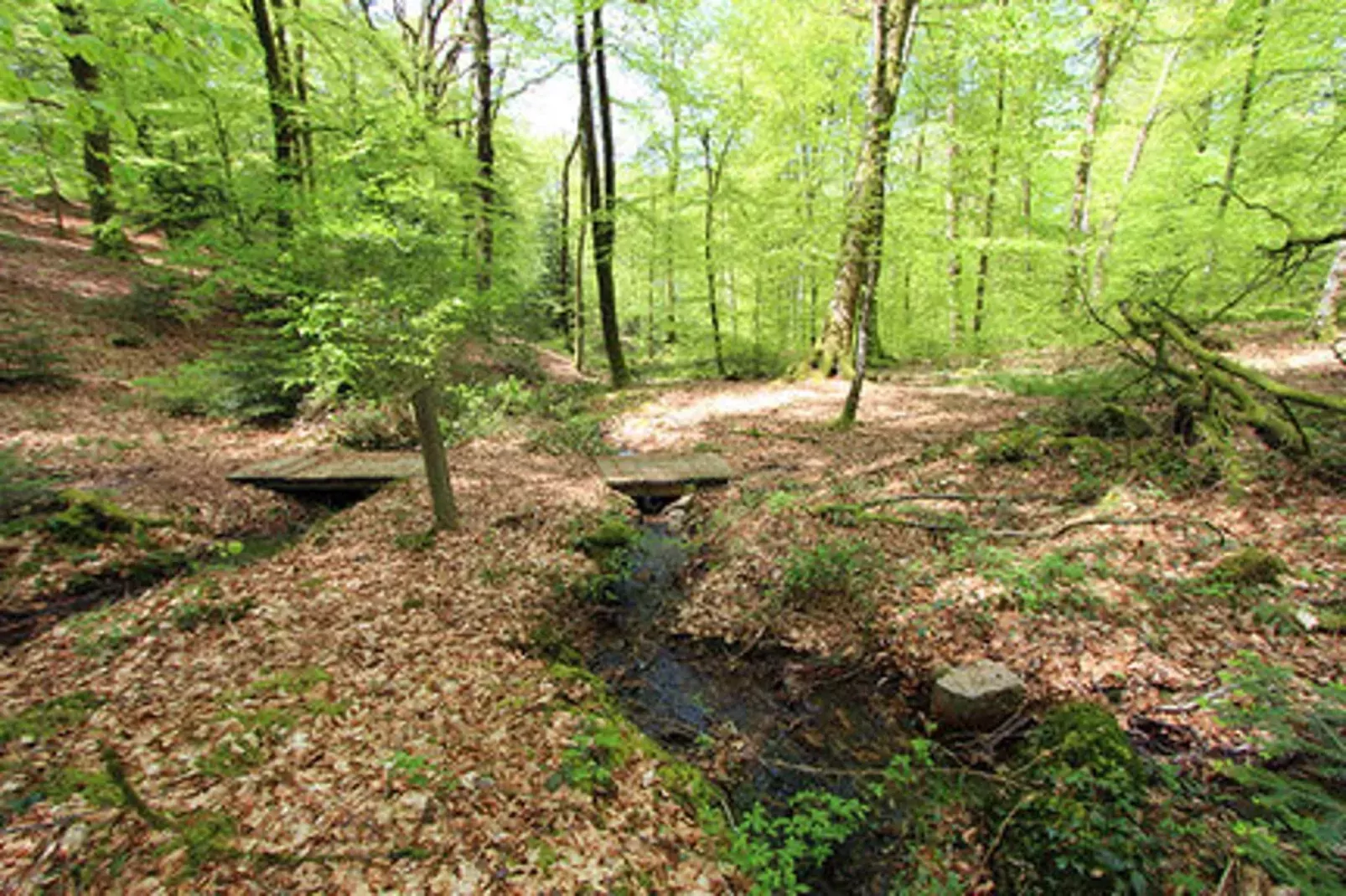 Holiday home Reipertswiller-Areas summer 5km