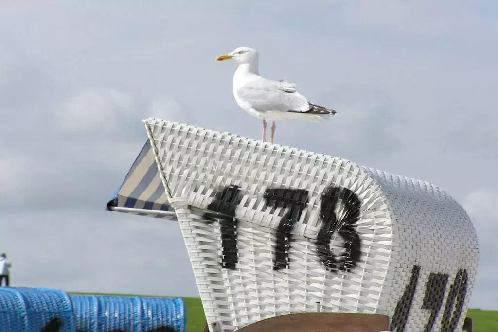 264423-Nicht getaggt