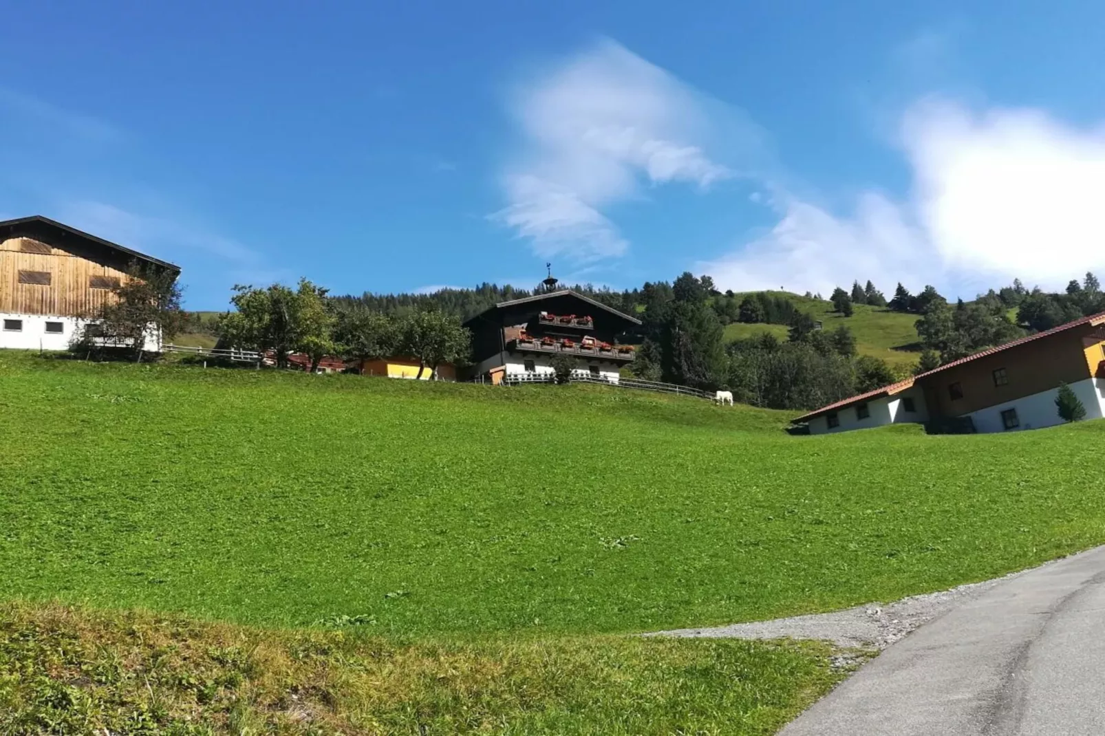 374461-Areas summer 1km
