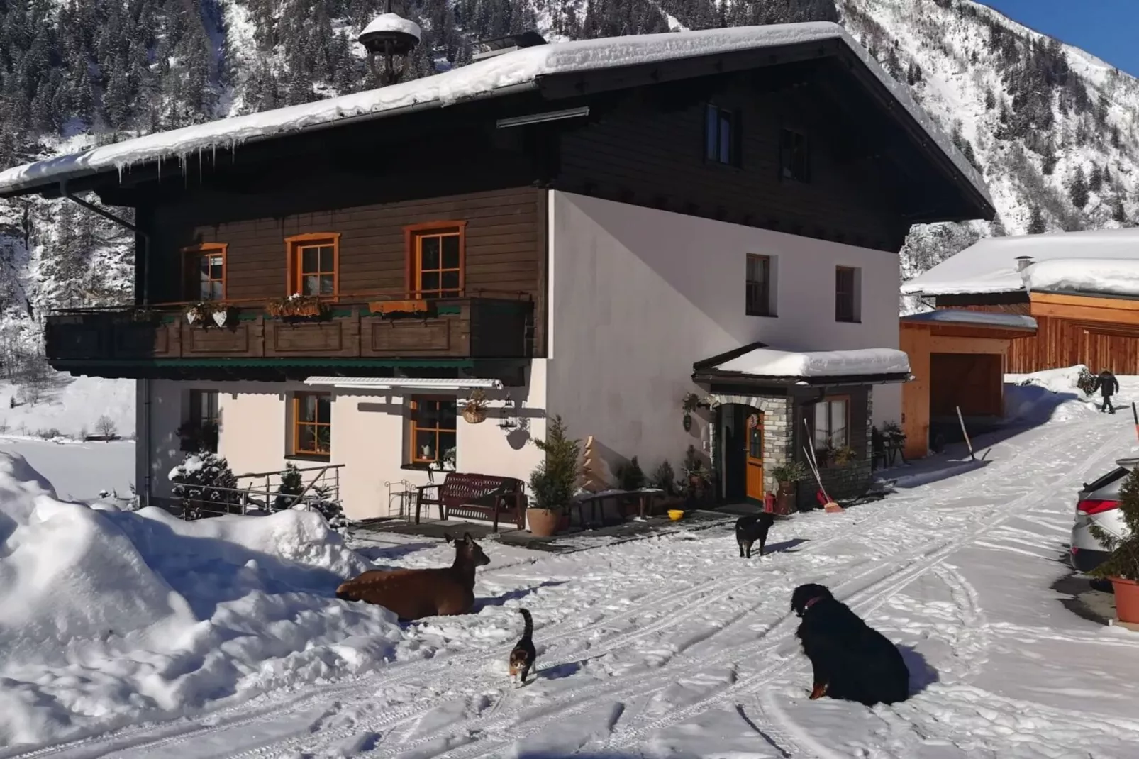374461-Exterior winter