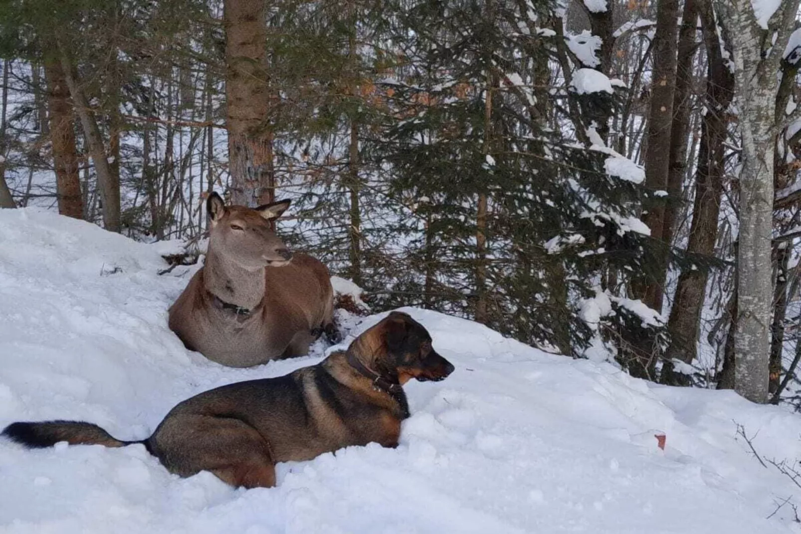374461-Area winter 20km