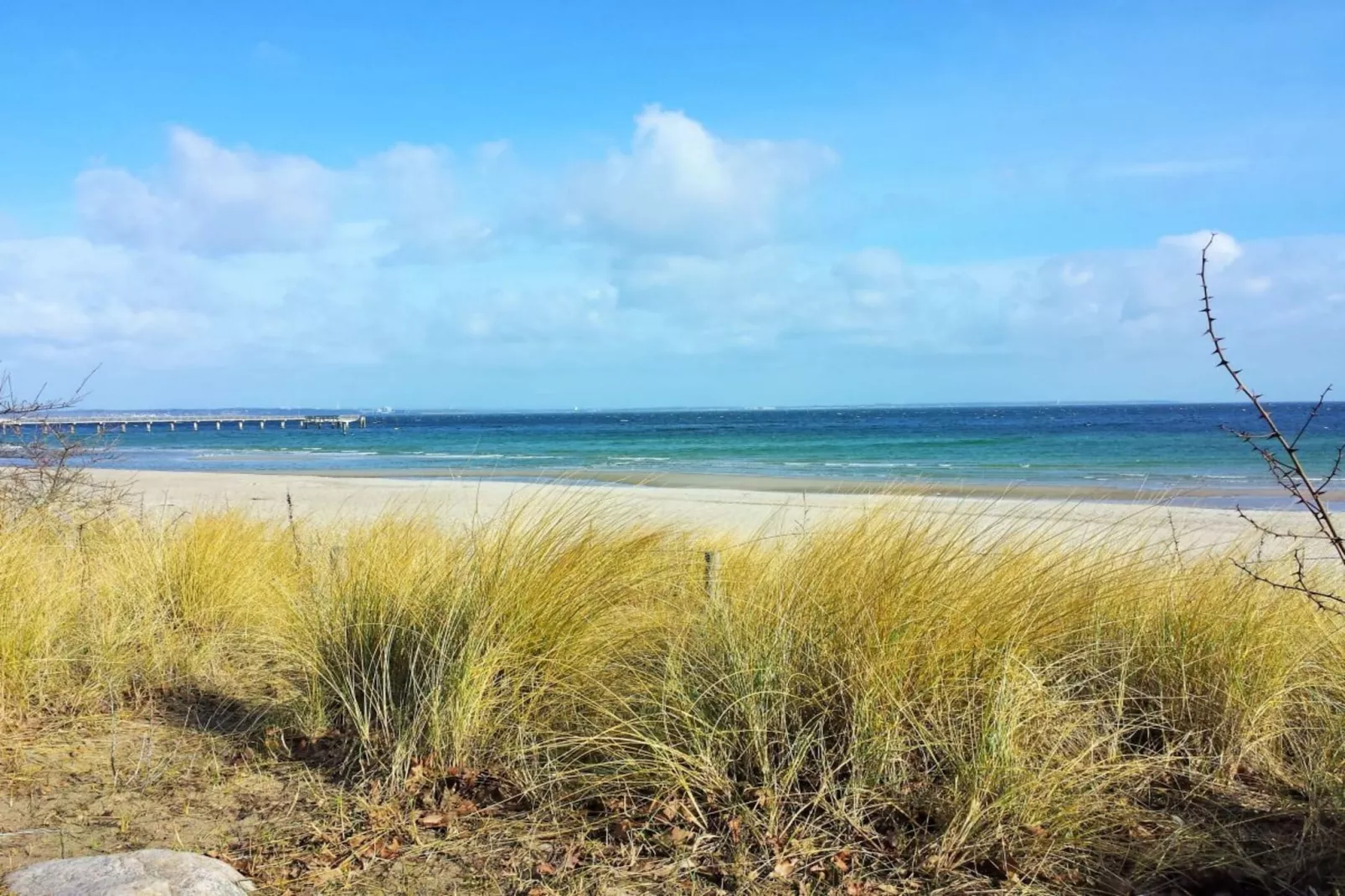 67457-Areas summer 5km