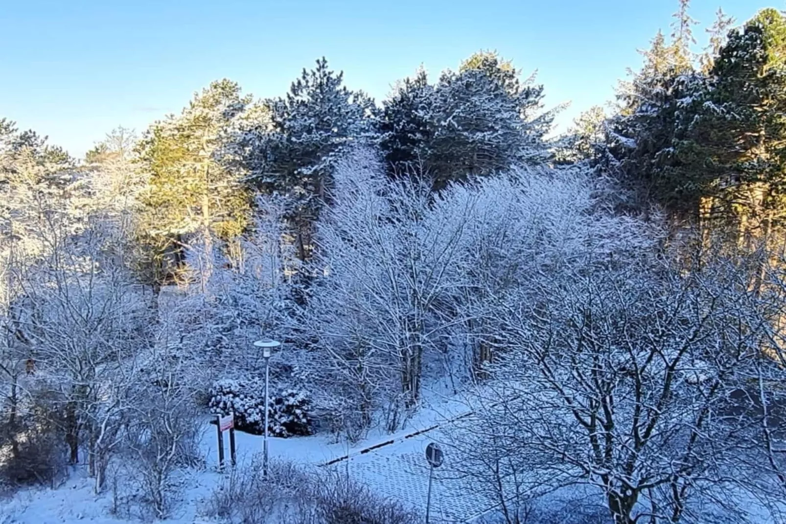 393310-Area winter 5km