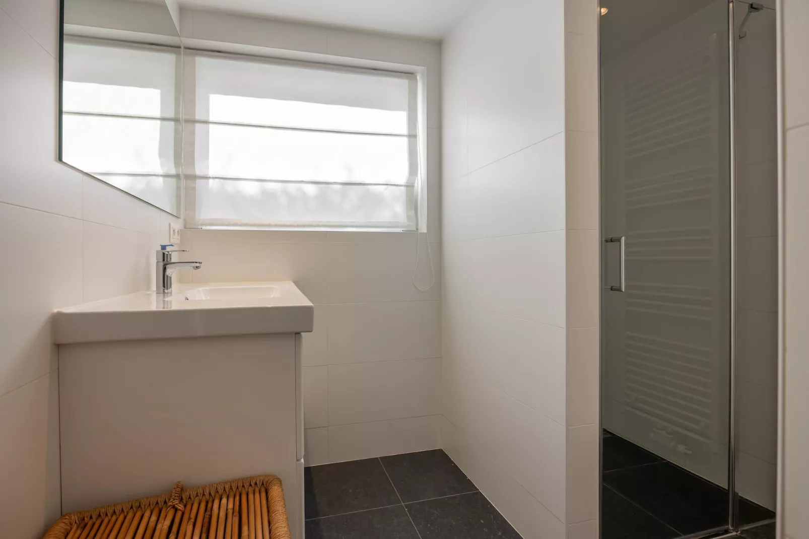 Reigerlaan 20 Kamperland-Badezimmer