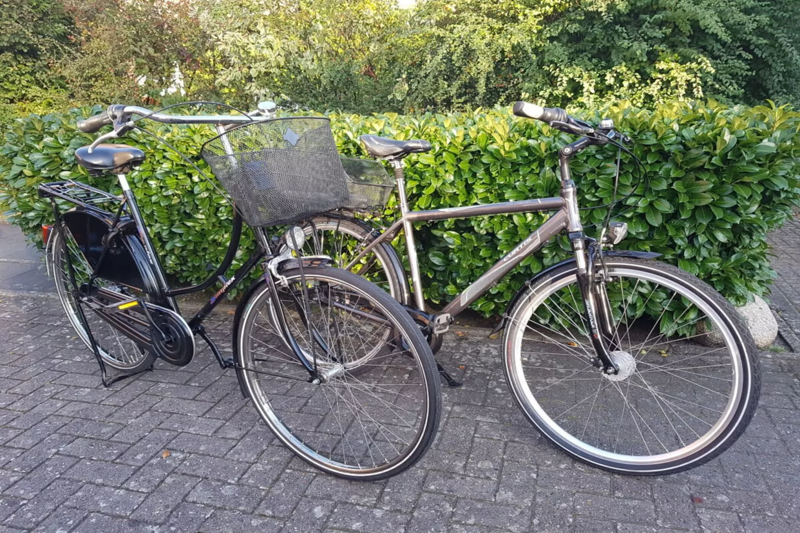 236321