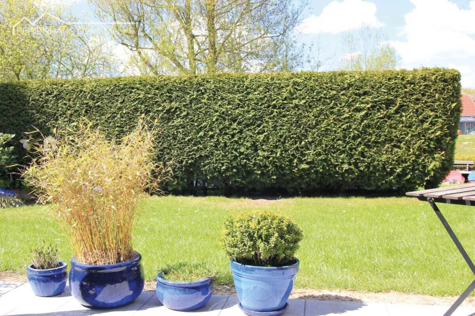 497670-Gardens summer