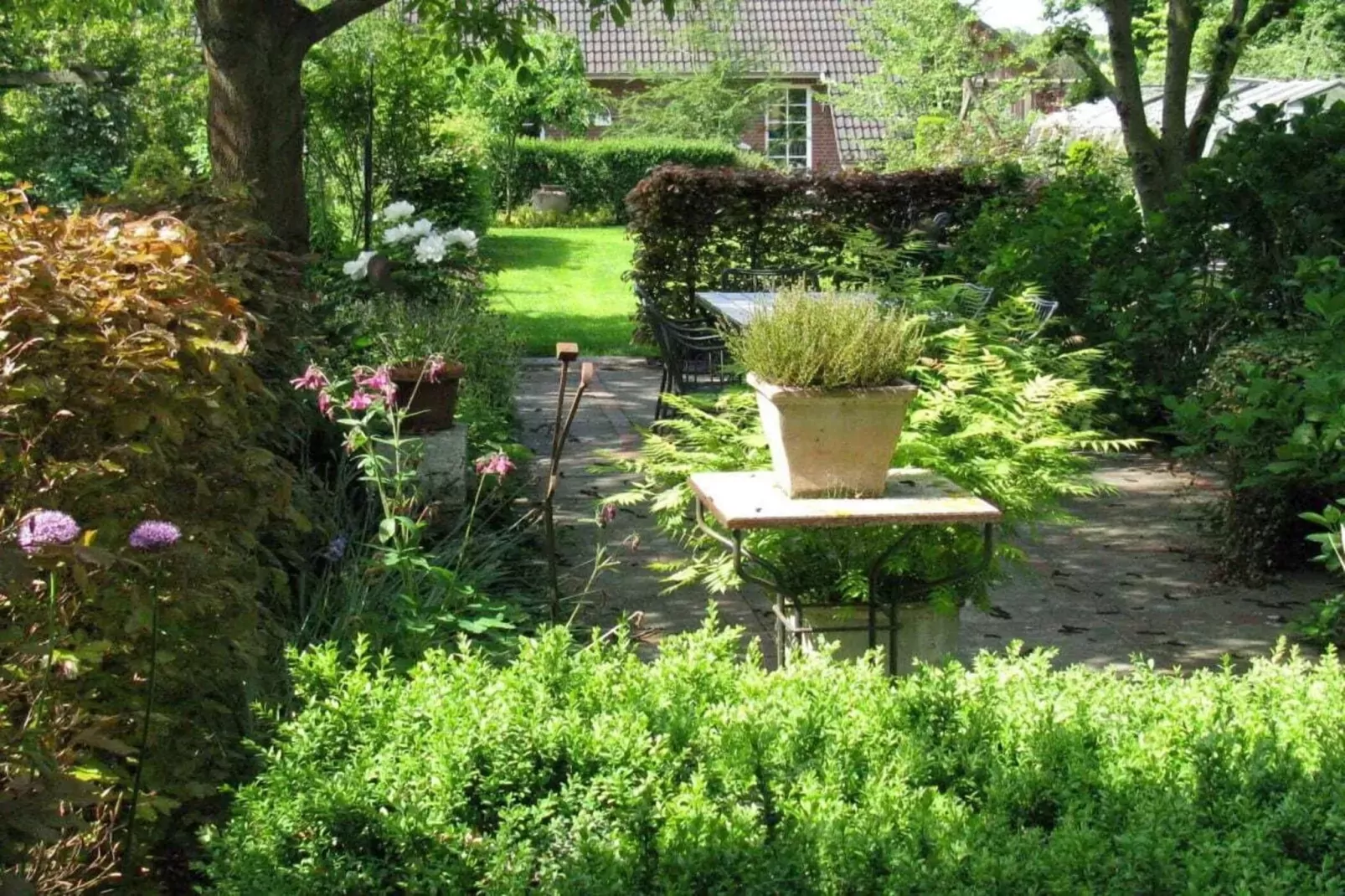 19722-Jardin d'été