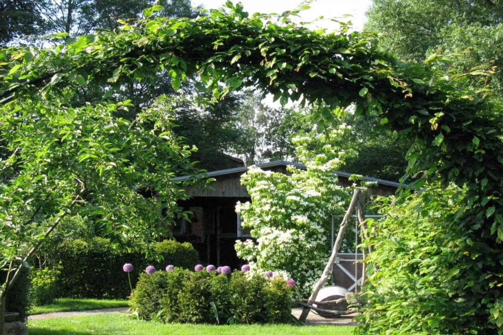 19722-Jardin d'été