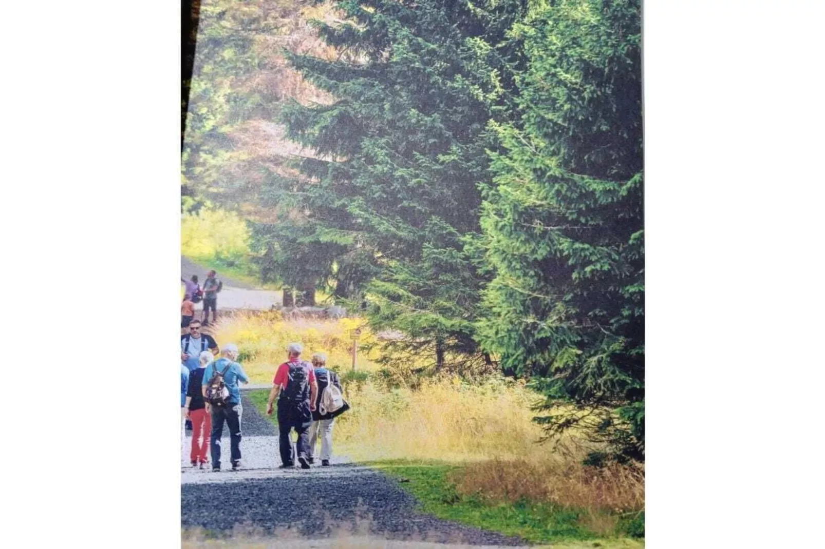 497993-Gebiete Sommer 1 km