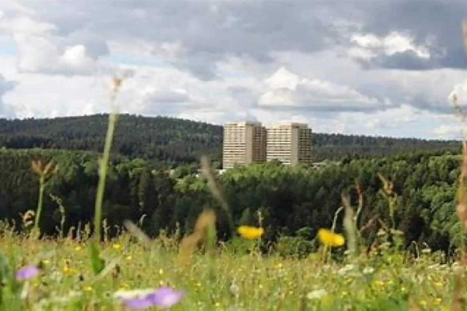 497993-Gebiete Sommer 1 km