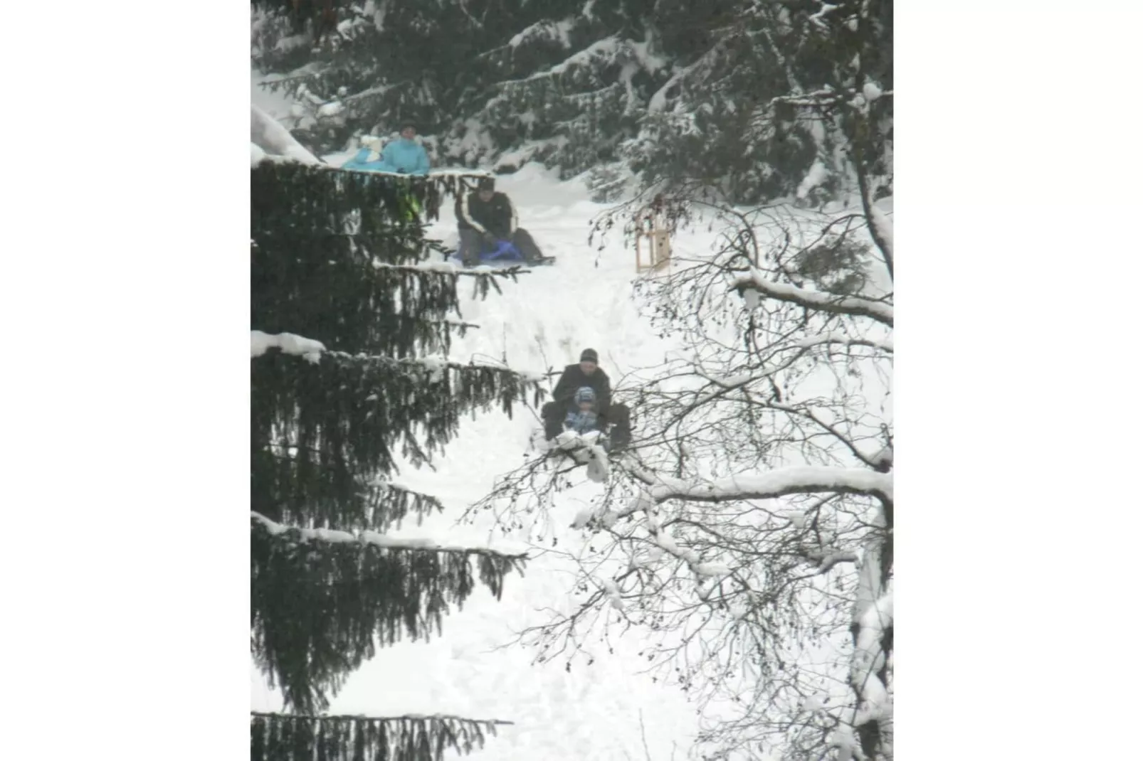 51776-Area winter 5km