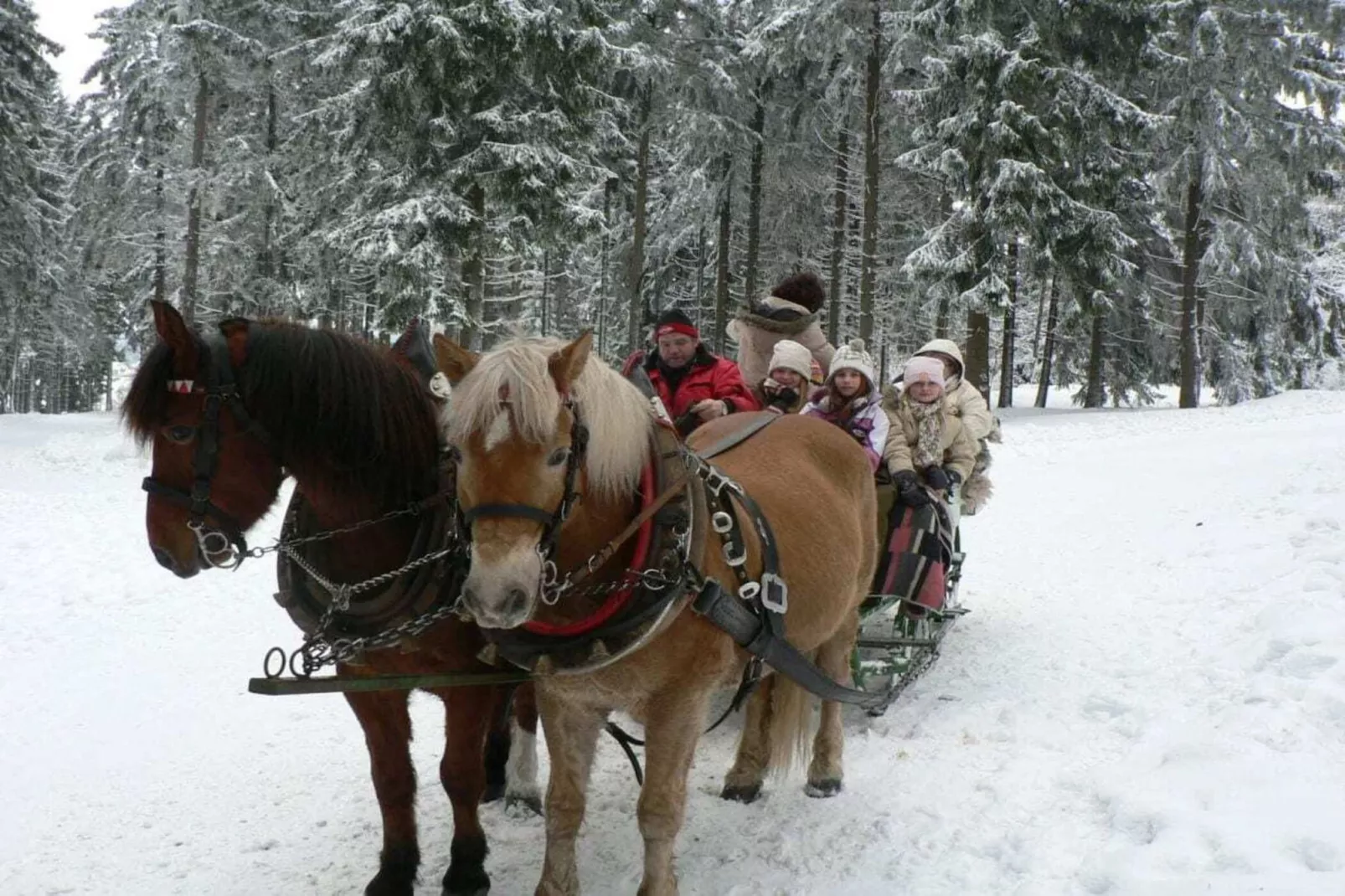 51776-Area winter 20km