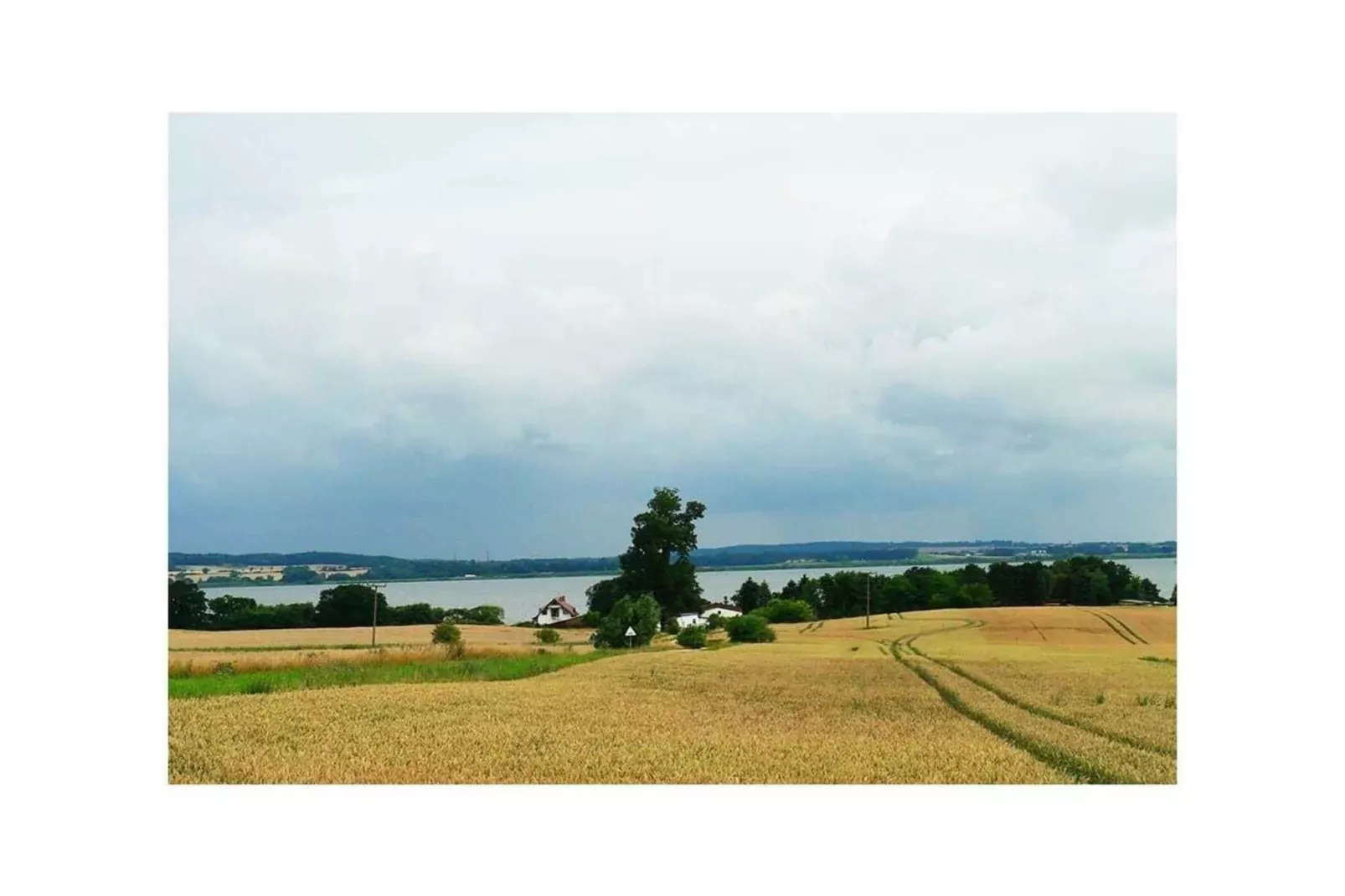 99316-Areas summer 5km
