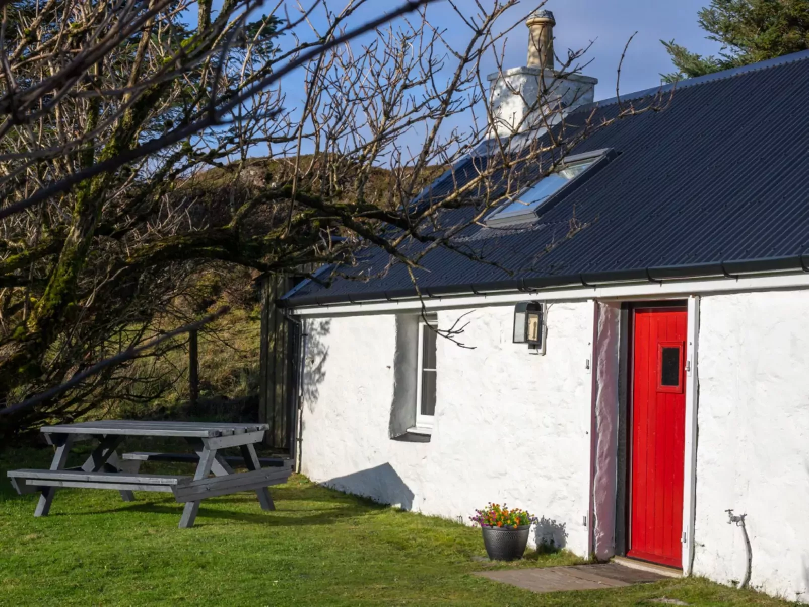 The Cottage-Outside