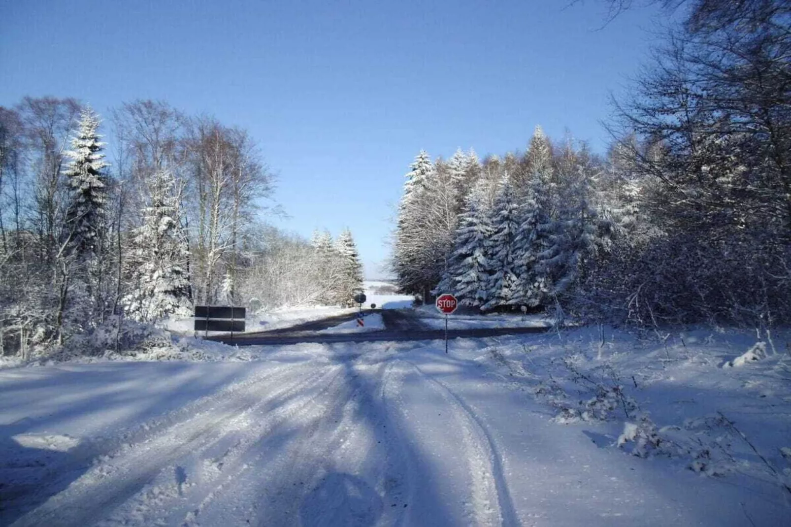346255-Area winter 1km