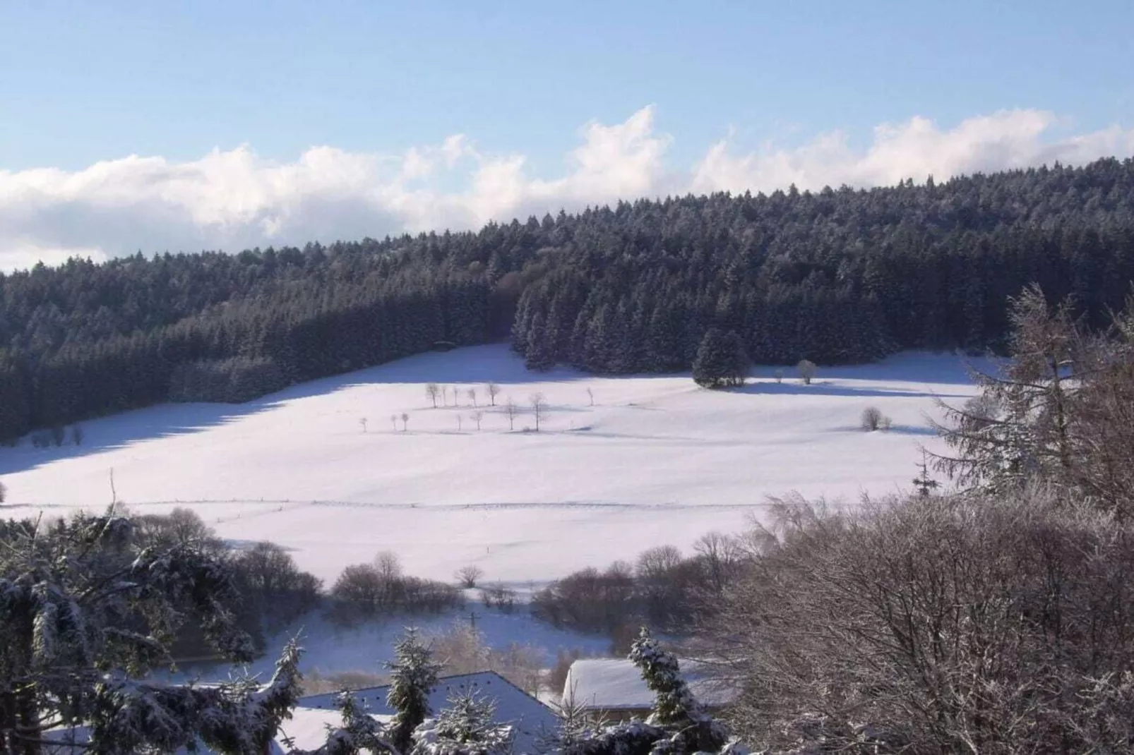 13650-Area winter 1km