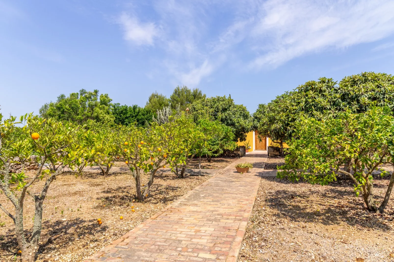 Ses Cases Son Blat, Finca 5StarsHome Mallorca-Areas summer 1km