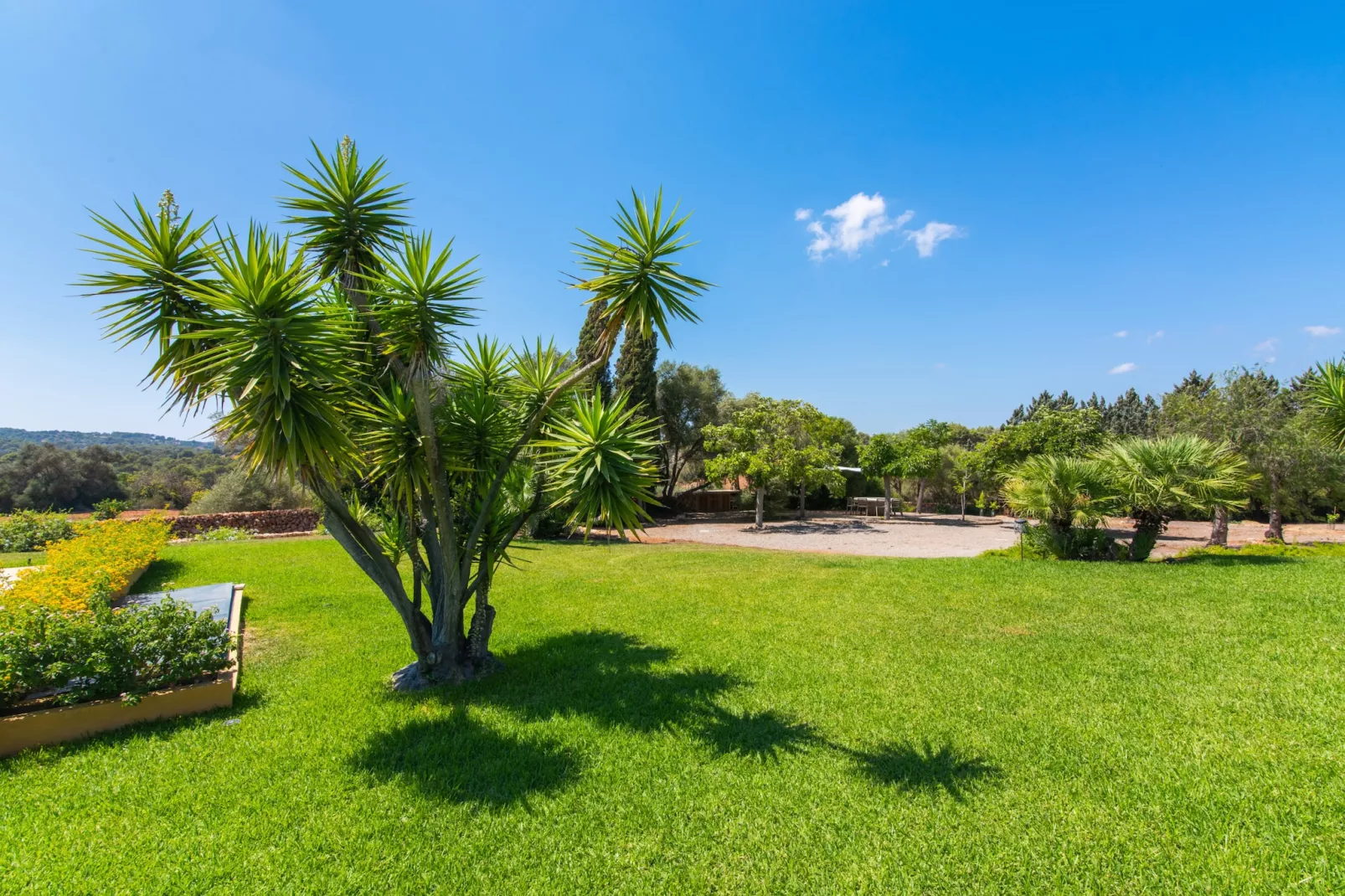 Sestador Blat, Finca 5StarsHome Mallorca - 10536660