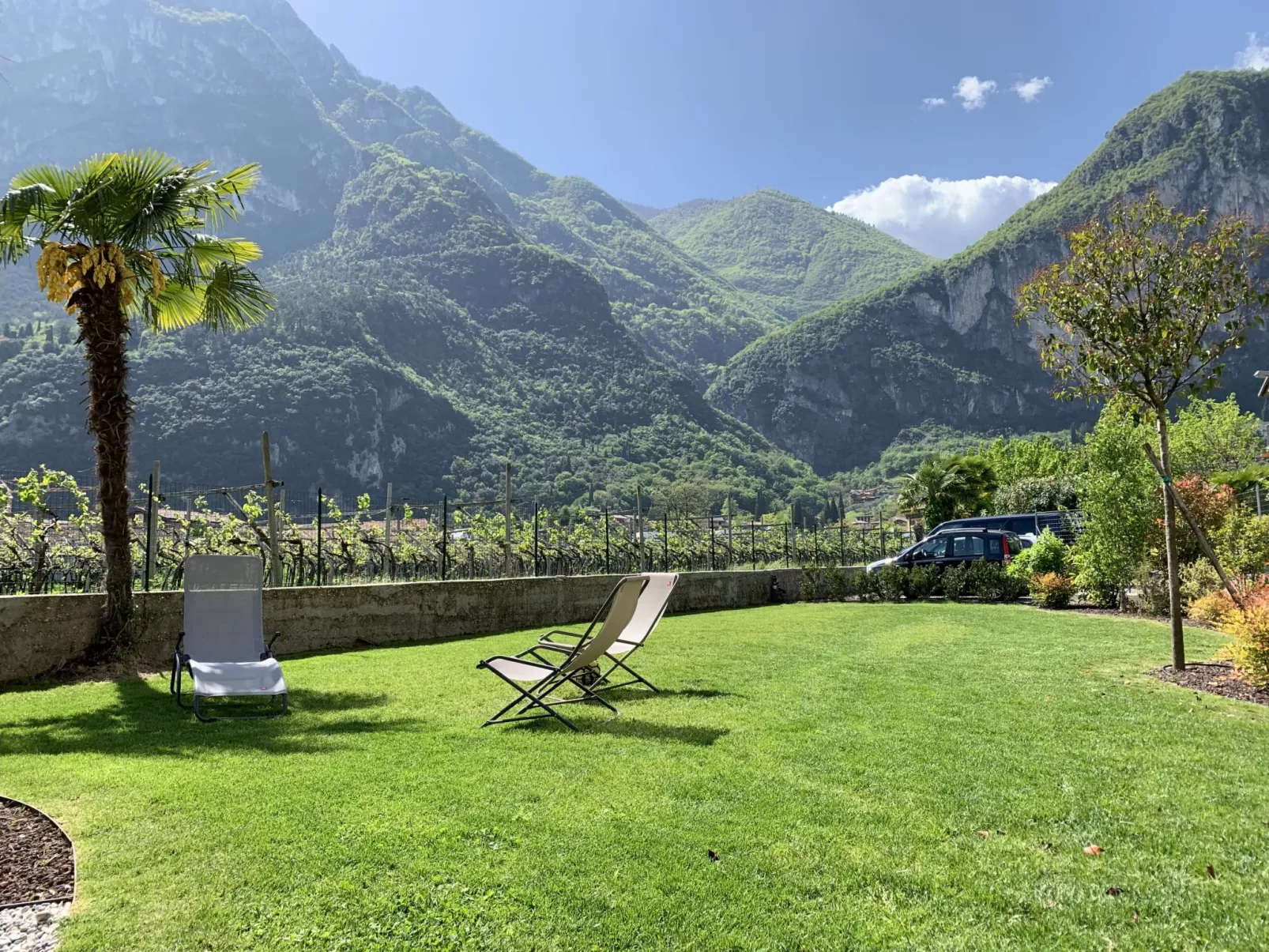 Albola Suite - 10178630