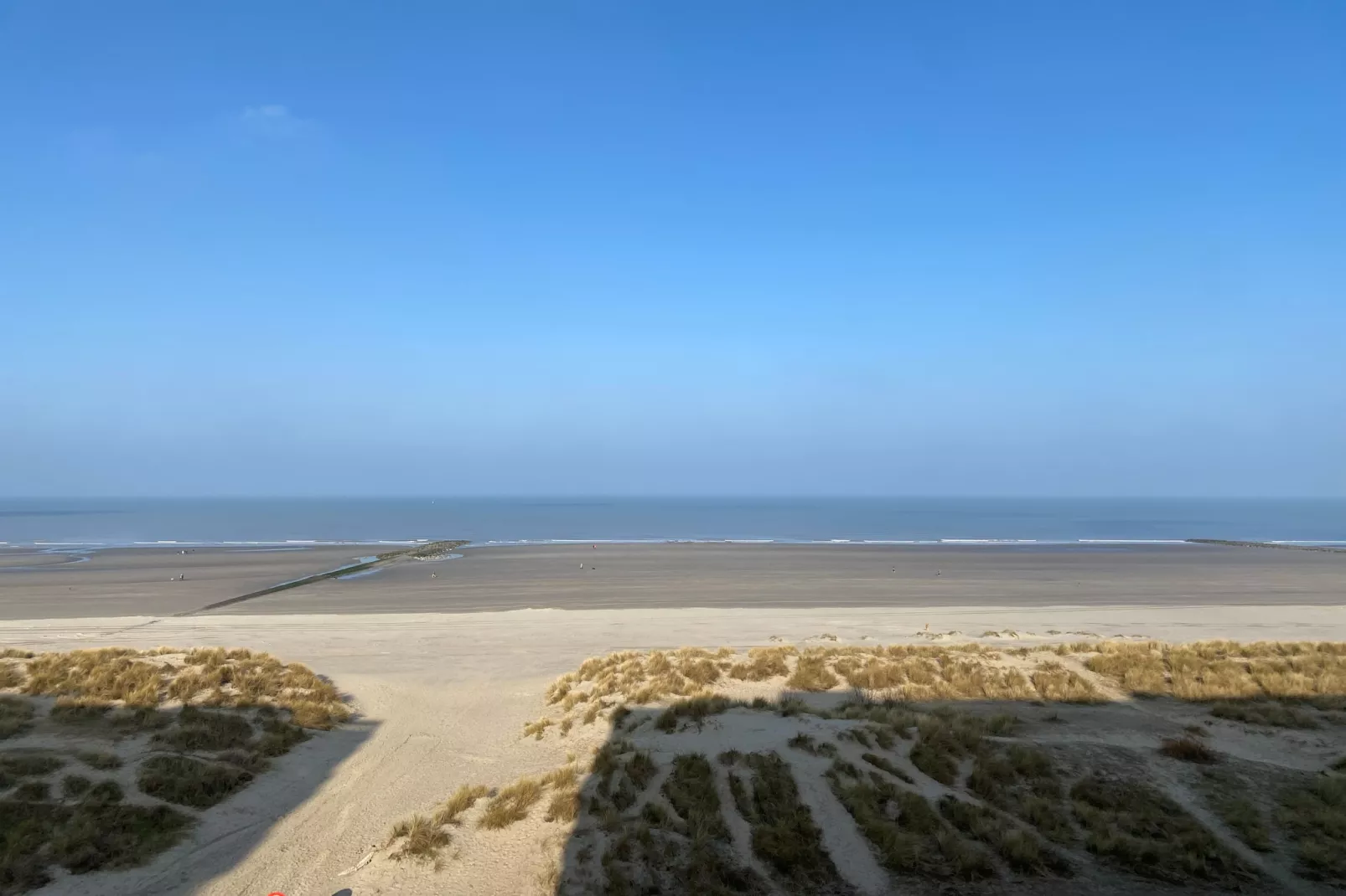 ZEEMEERMIN 502-Areas summer 5km
