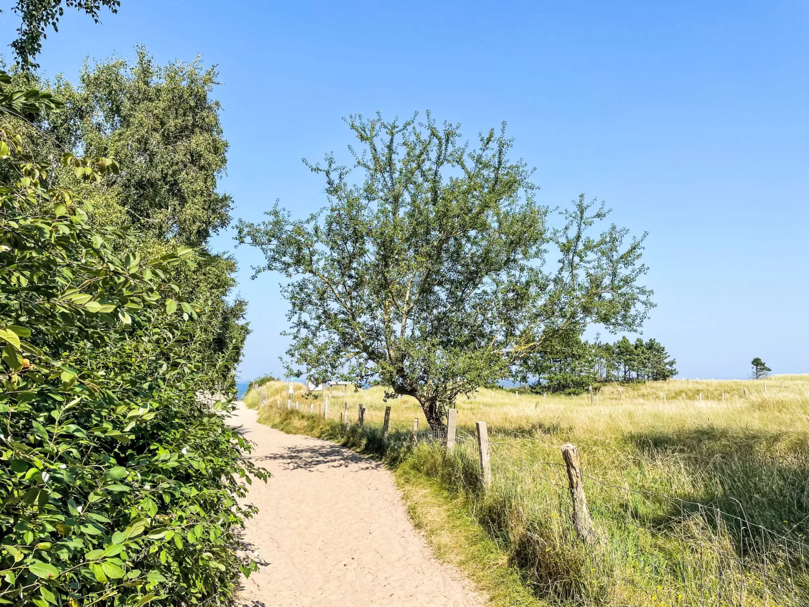 Ostseeblick - 10072061