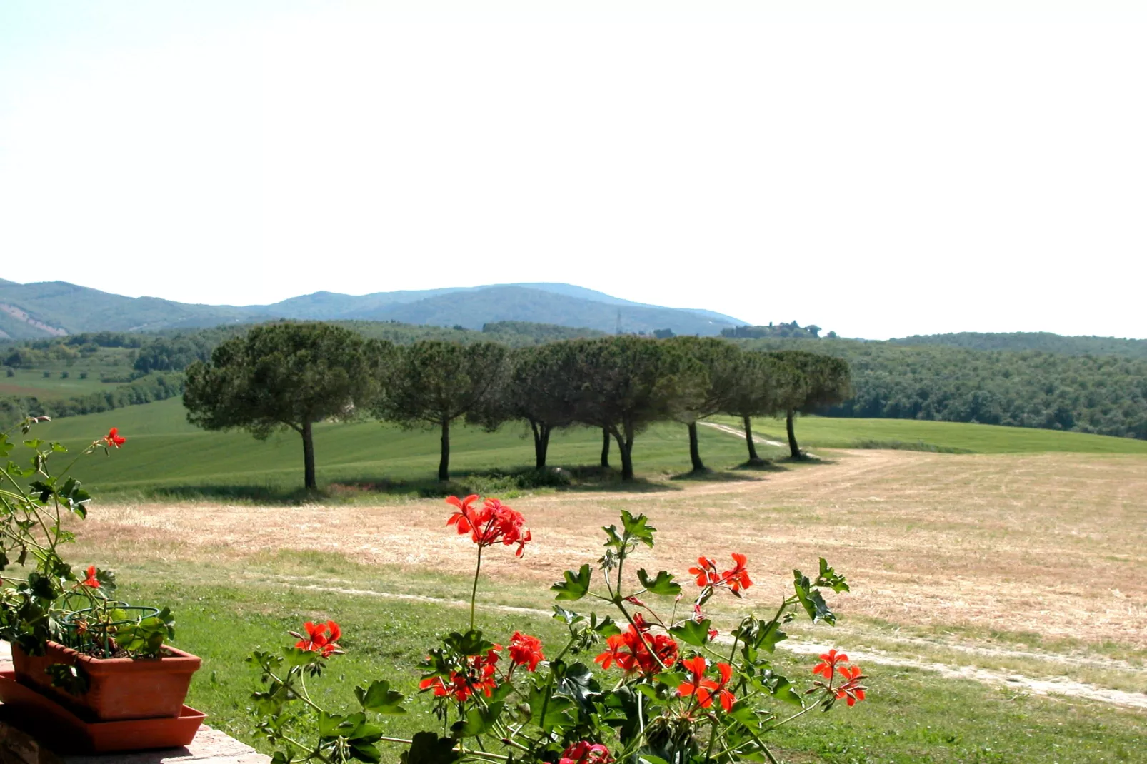 I Frutti-View summer