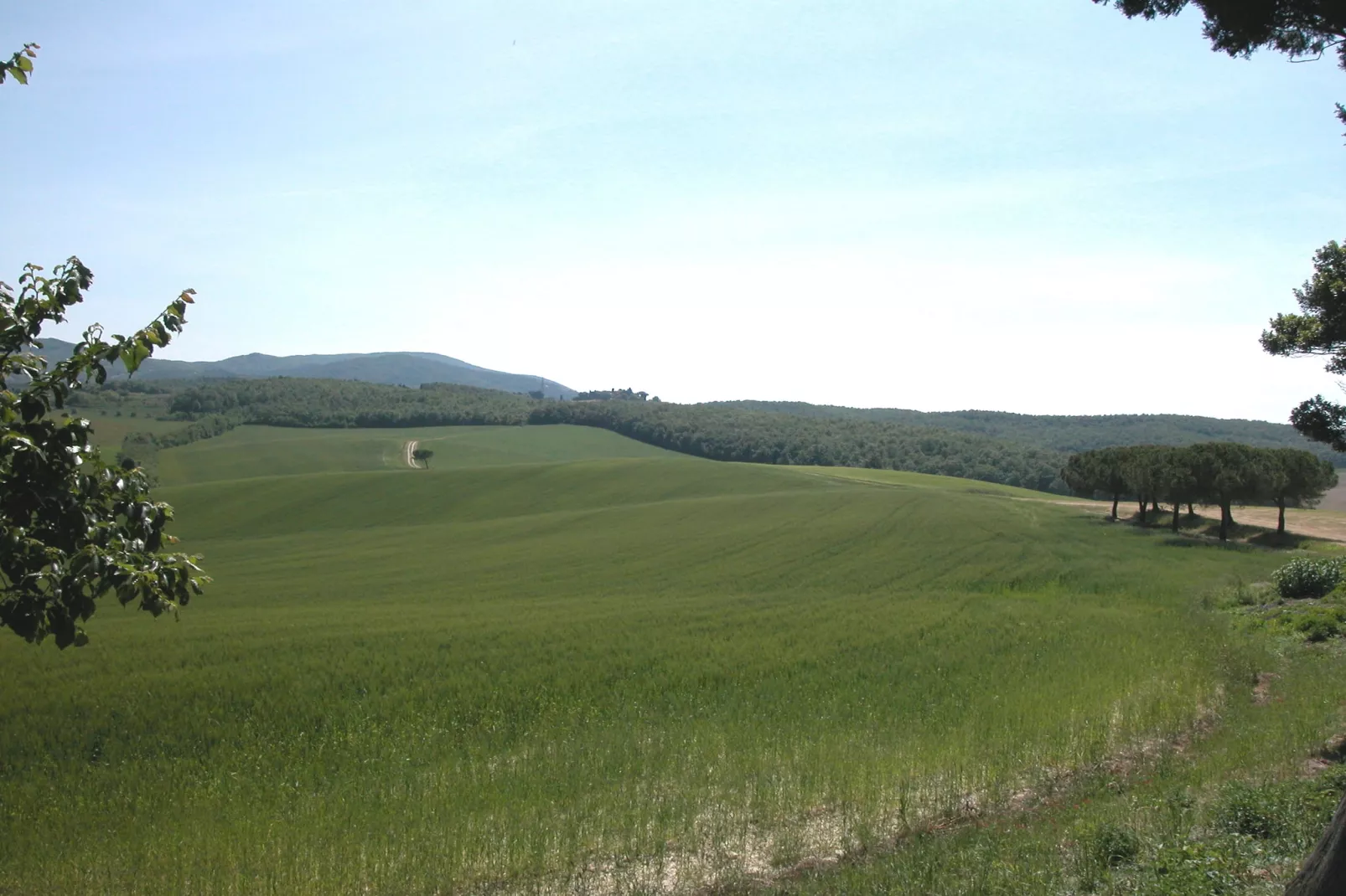 I Frutti-View summer