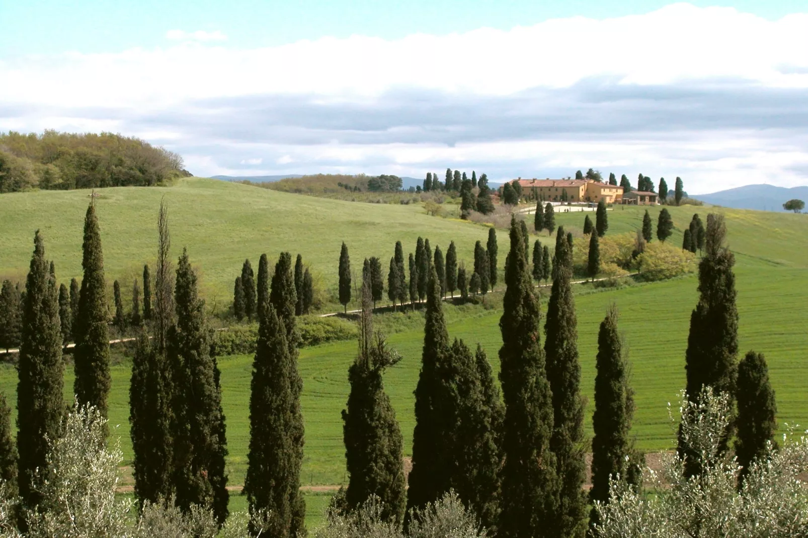 I Frutti-Areas summer 1km