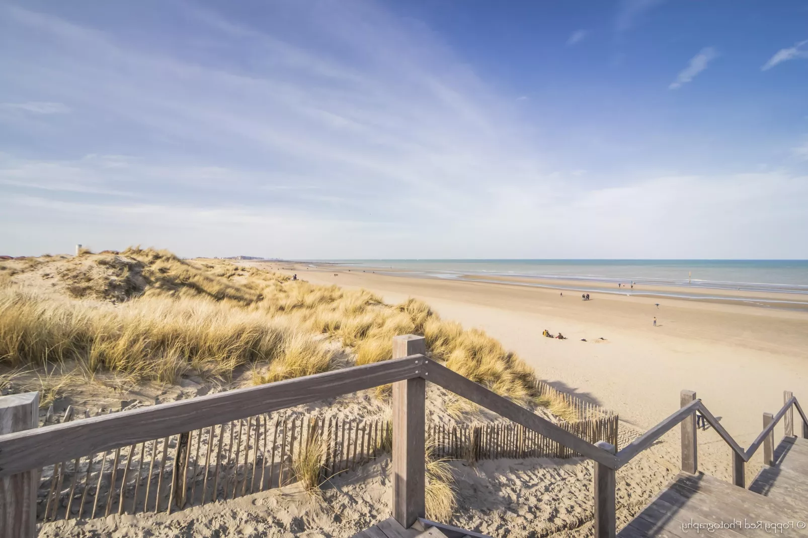 SANDY CAPE 401-Exterior summer