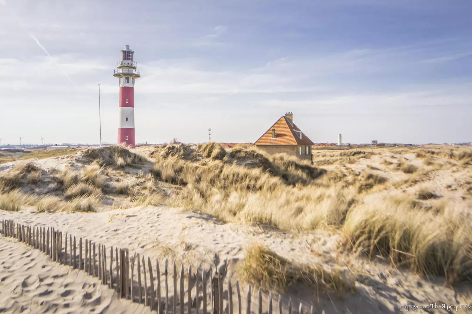 WIELINGERBANK E 404-Areas summer 5km