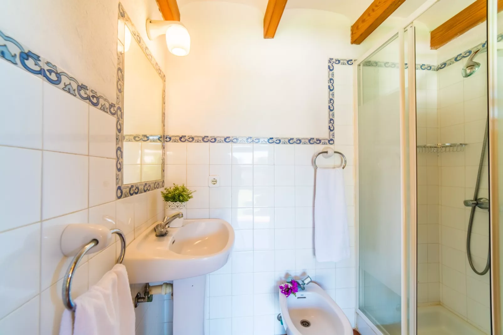 Es Moli-Bathroom