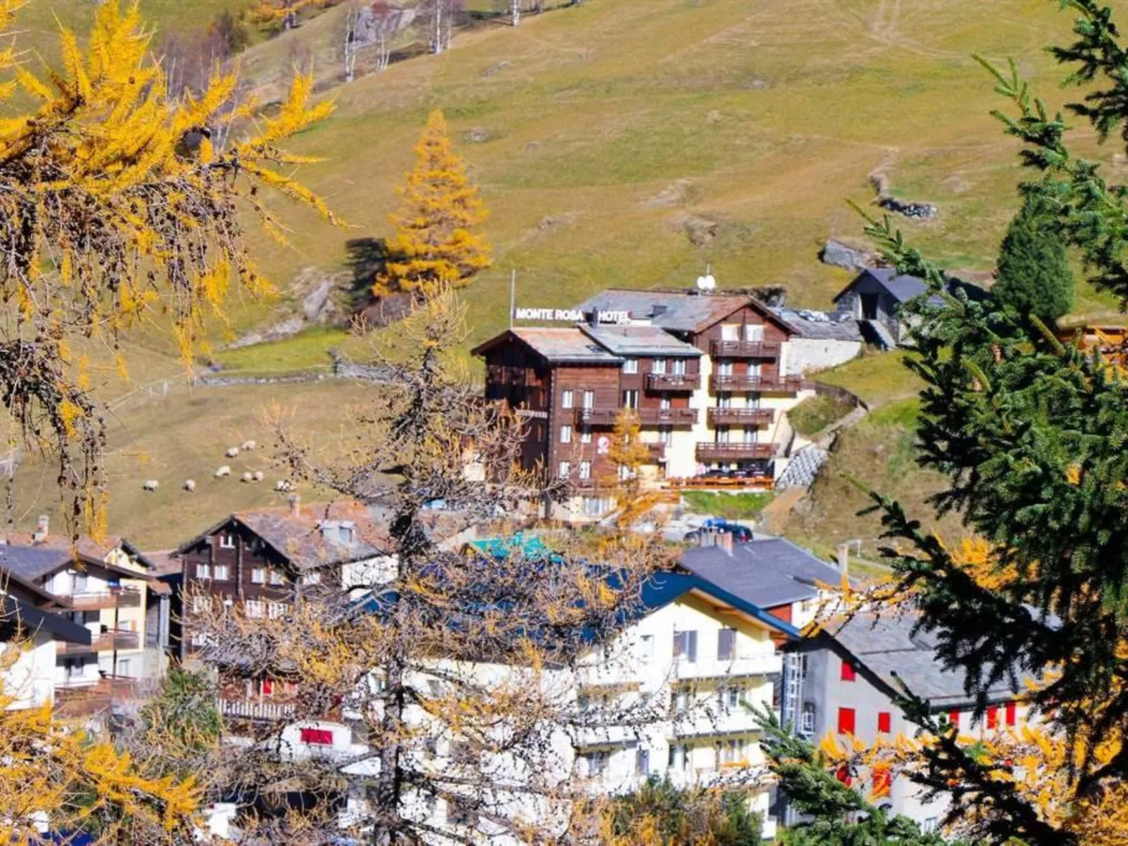 Monte Rosa - 10345994