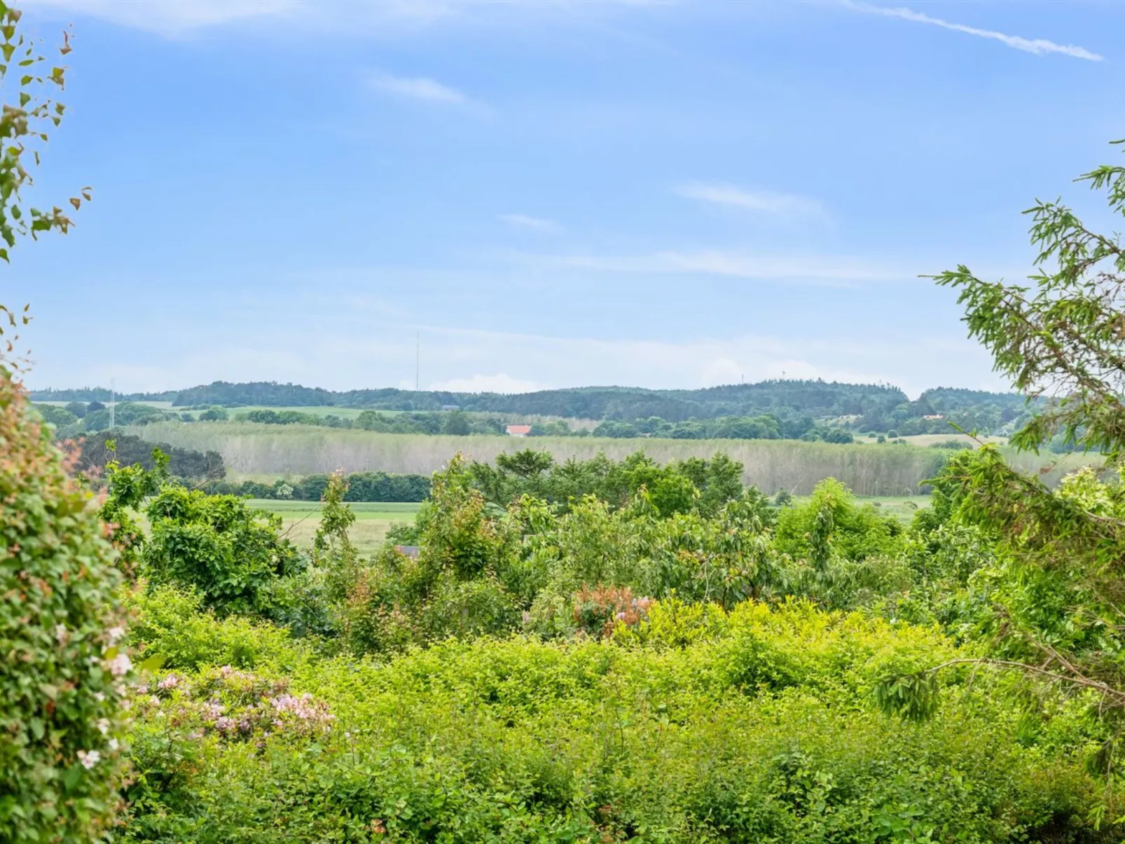 "Lauha" - 400m from the sea-Outside