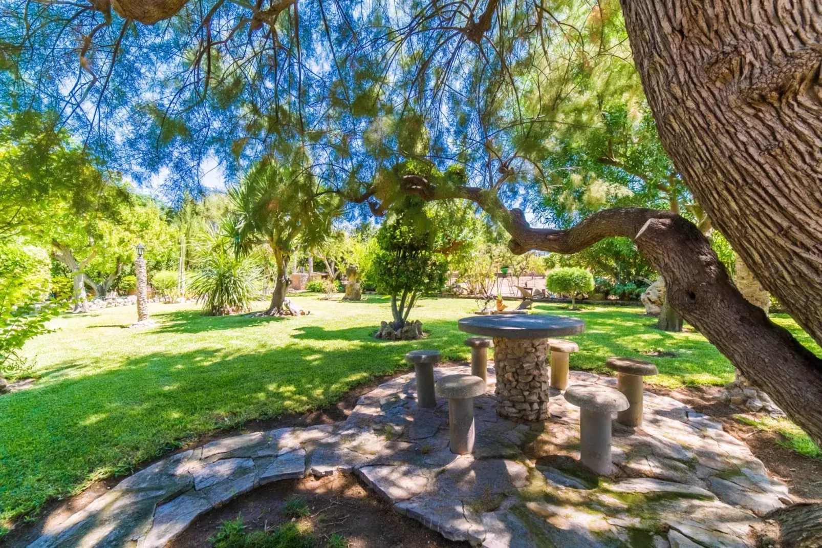 Sa Sort Llarga-Jardin d'été
