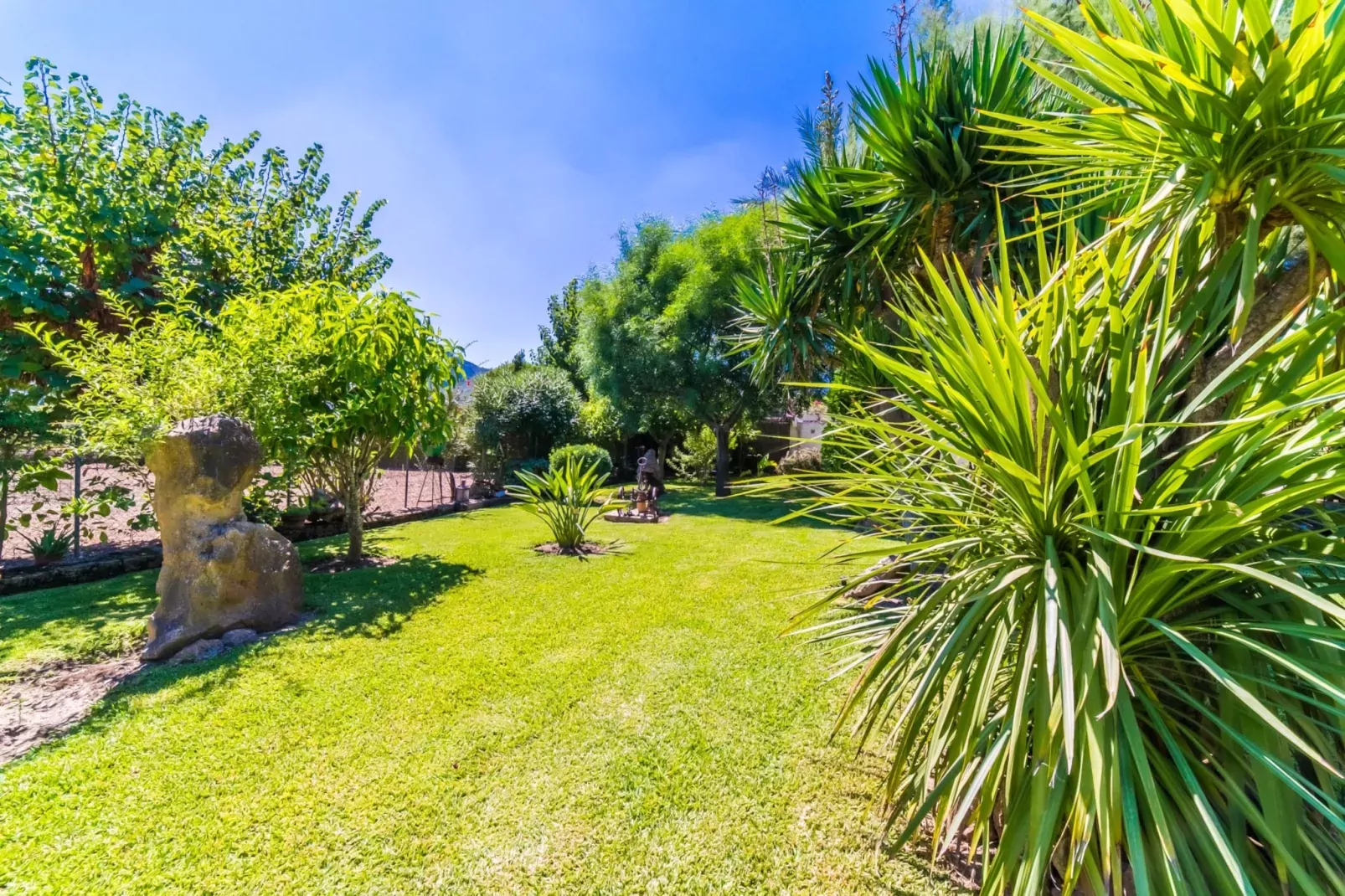 Sa Sort Llarga-Jardin d'été