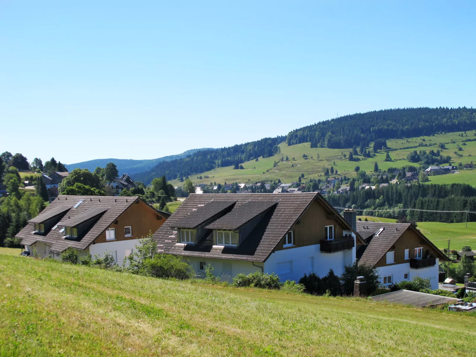 Schwarzwaldblick VI - 10073225