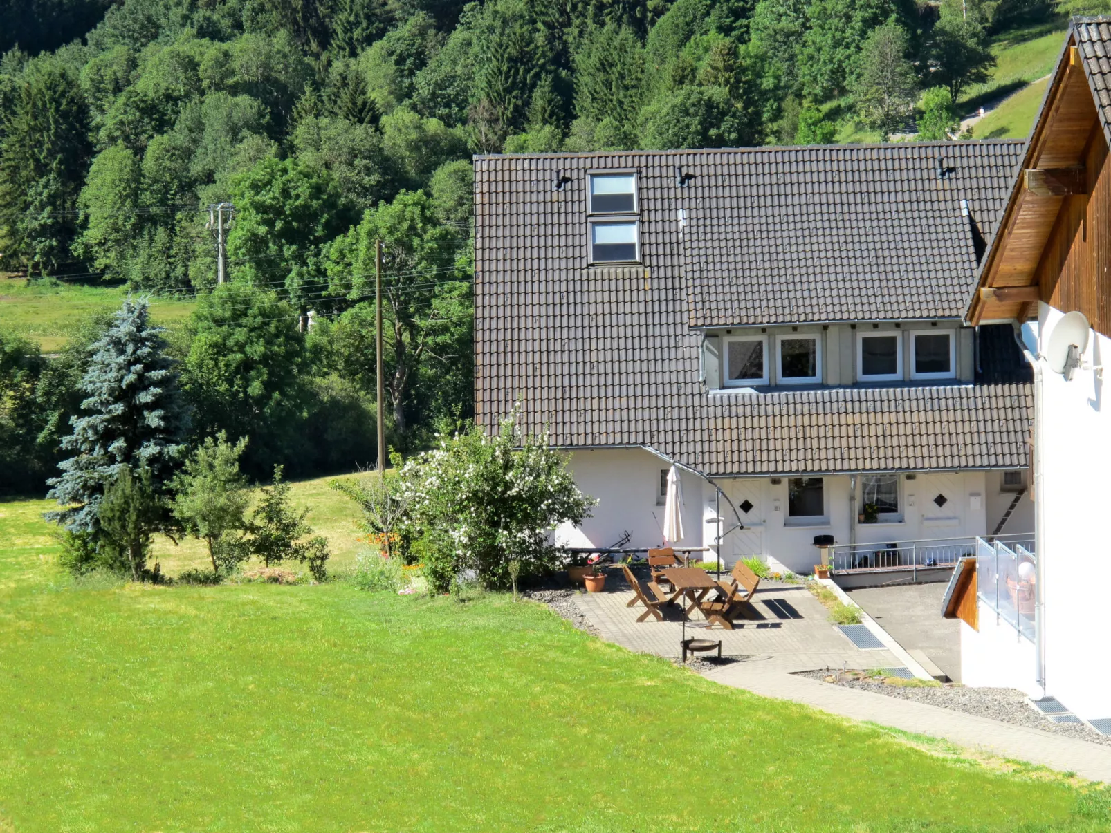 Schwarzwaldblick VI - 10073259