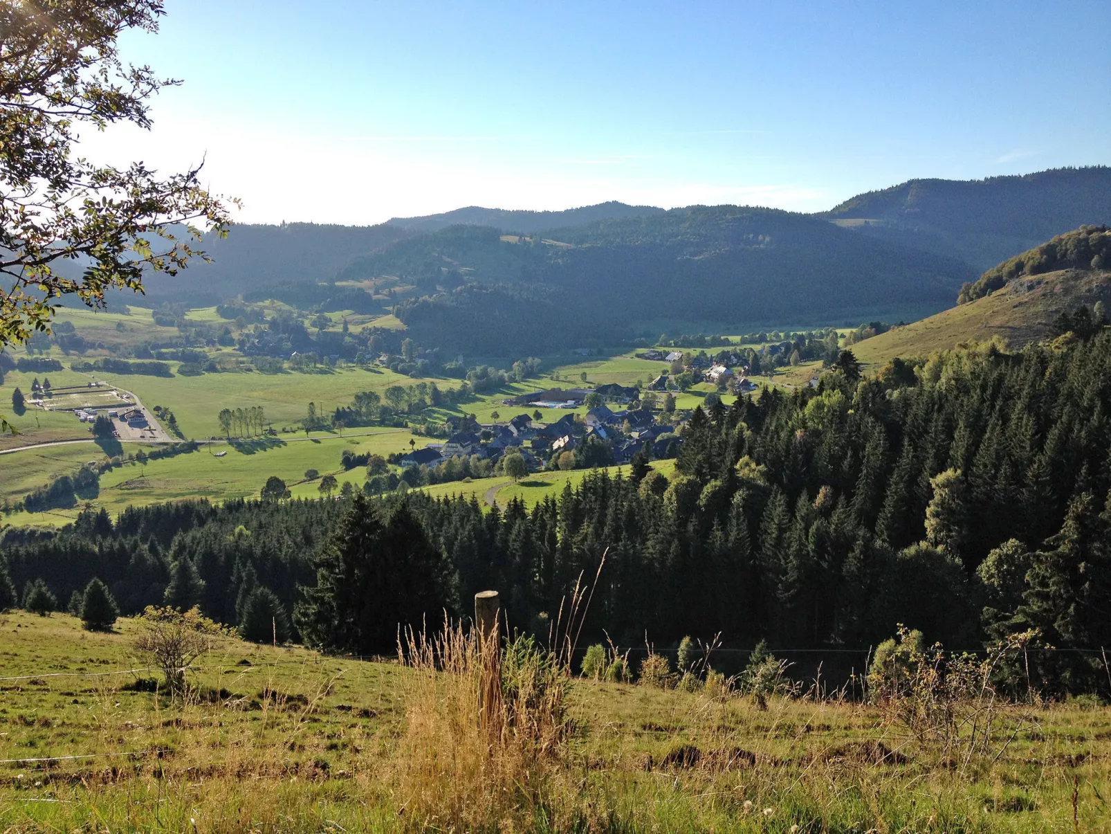 Schwarzwaldblick VI - 10073262