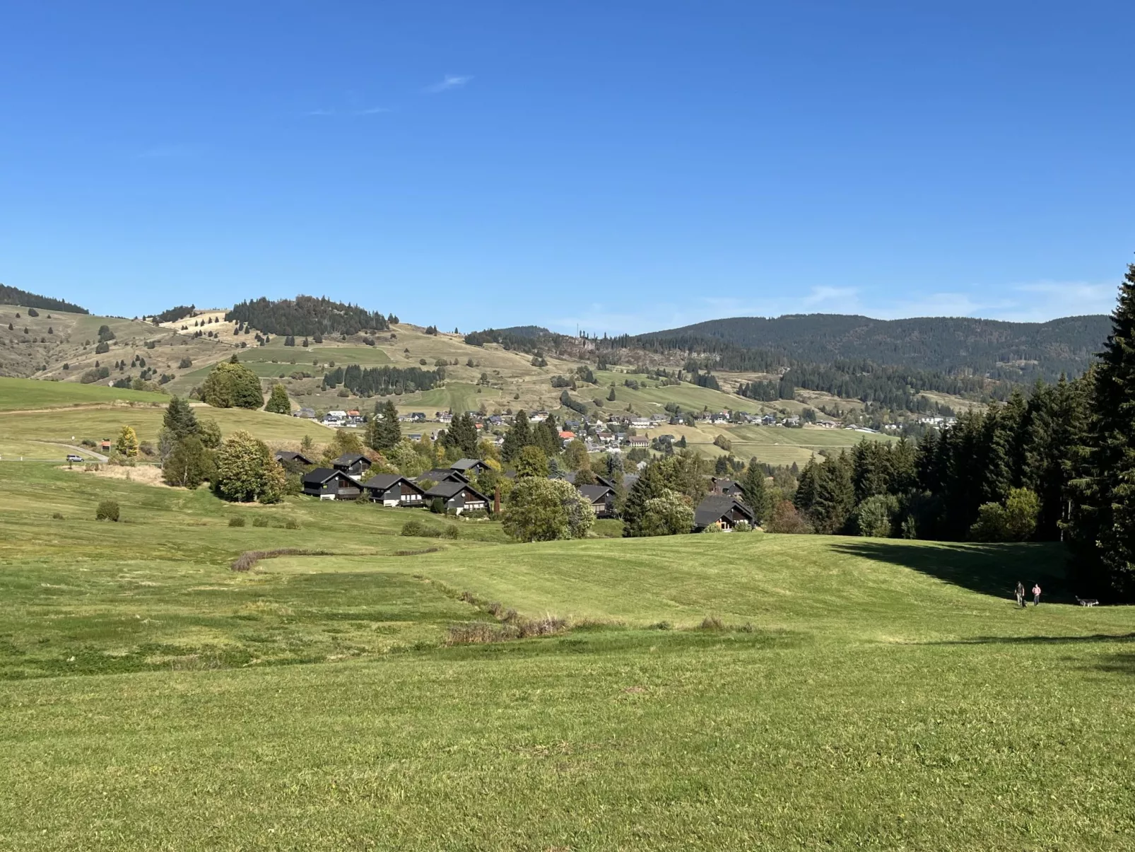Schwarzwaldblick VI - 10073263