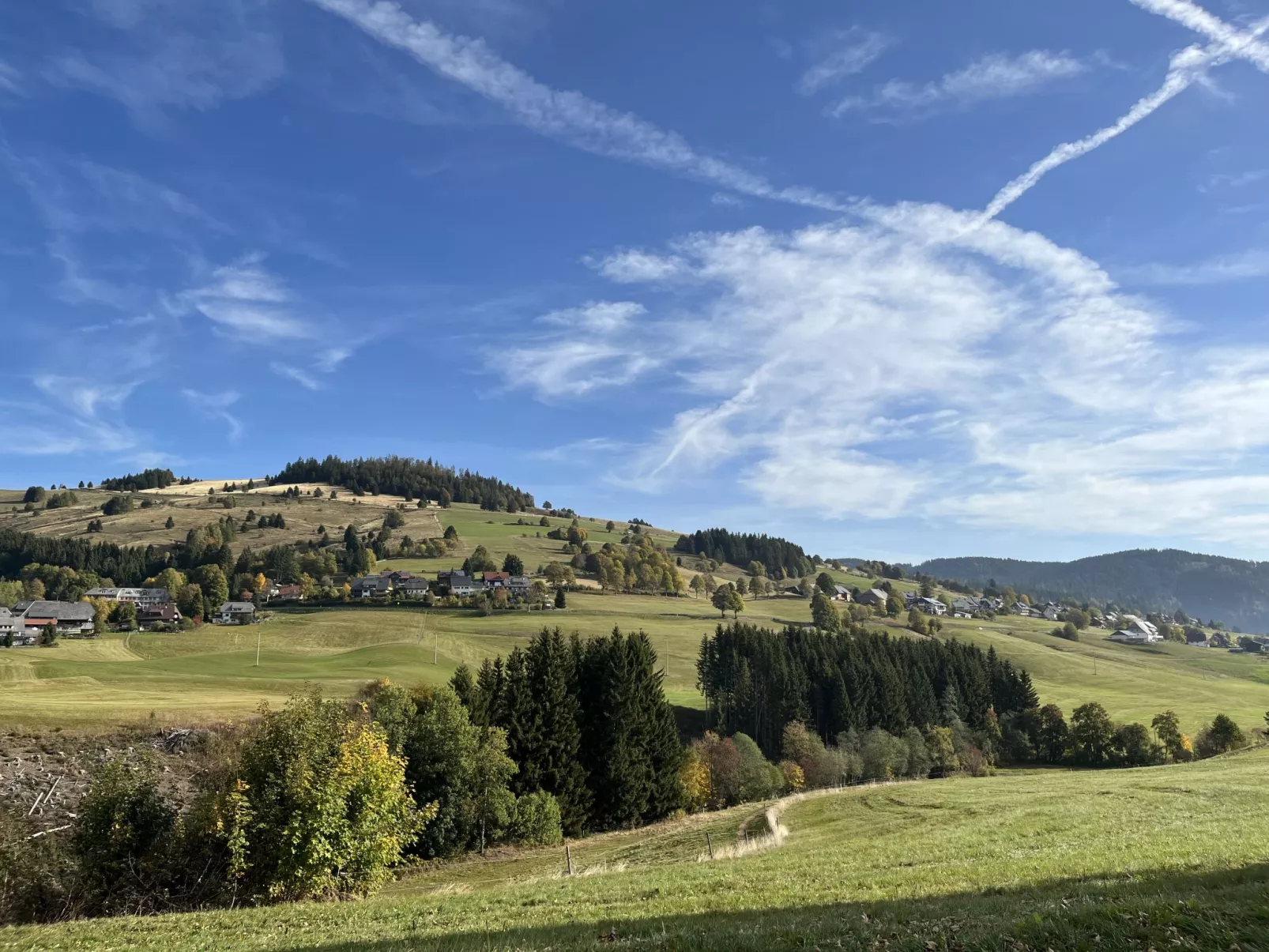 Schwarzwaldblick VI - 10073264
