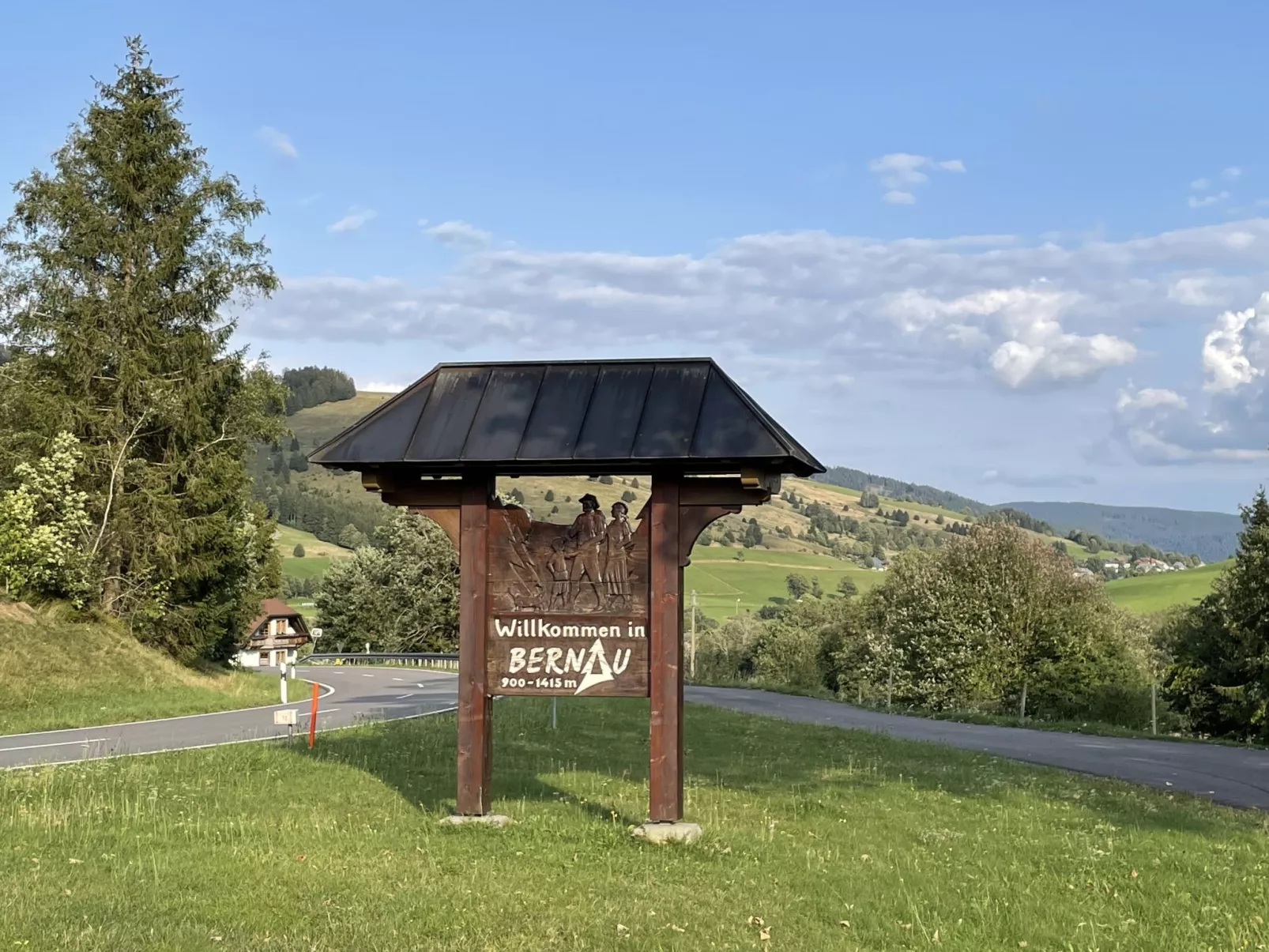 Schwarzwaldblick VI - 10073265
