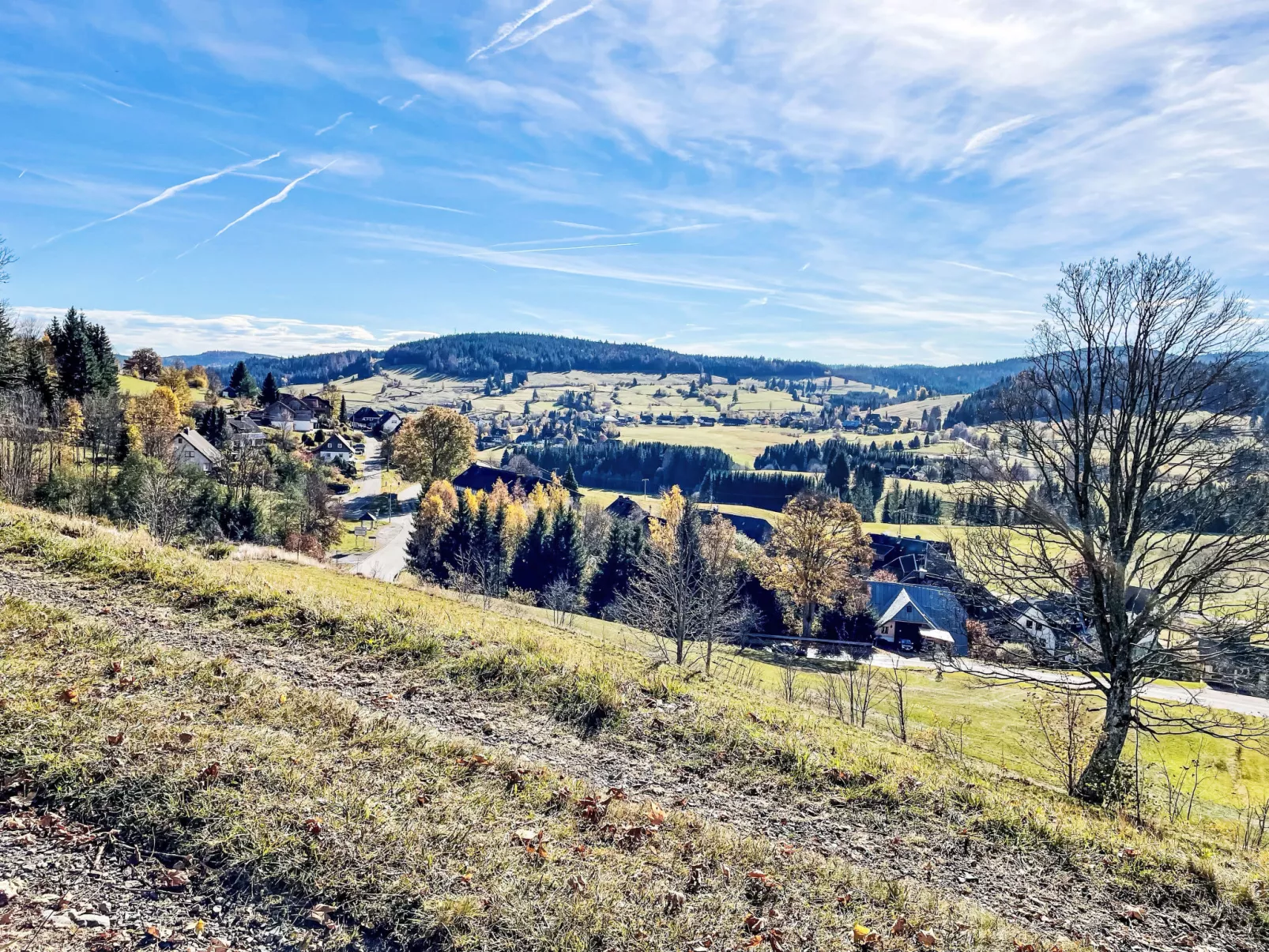 Schwarzwaldblick VI - 10190238