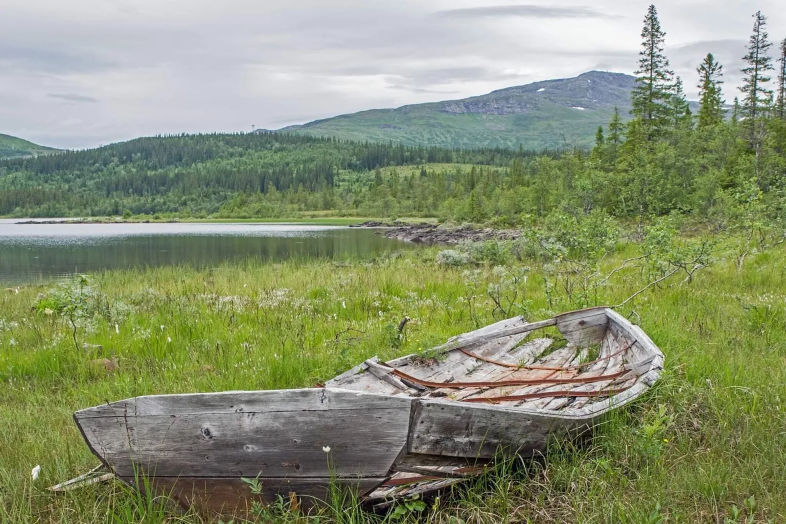 Dubbelrum med delat badrum-Outdoor