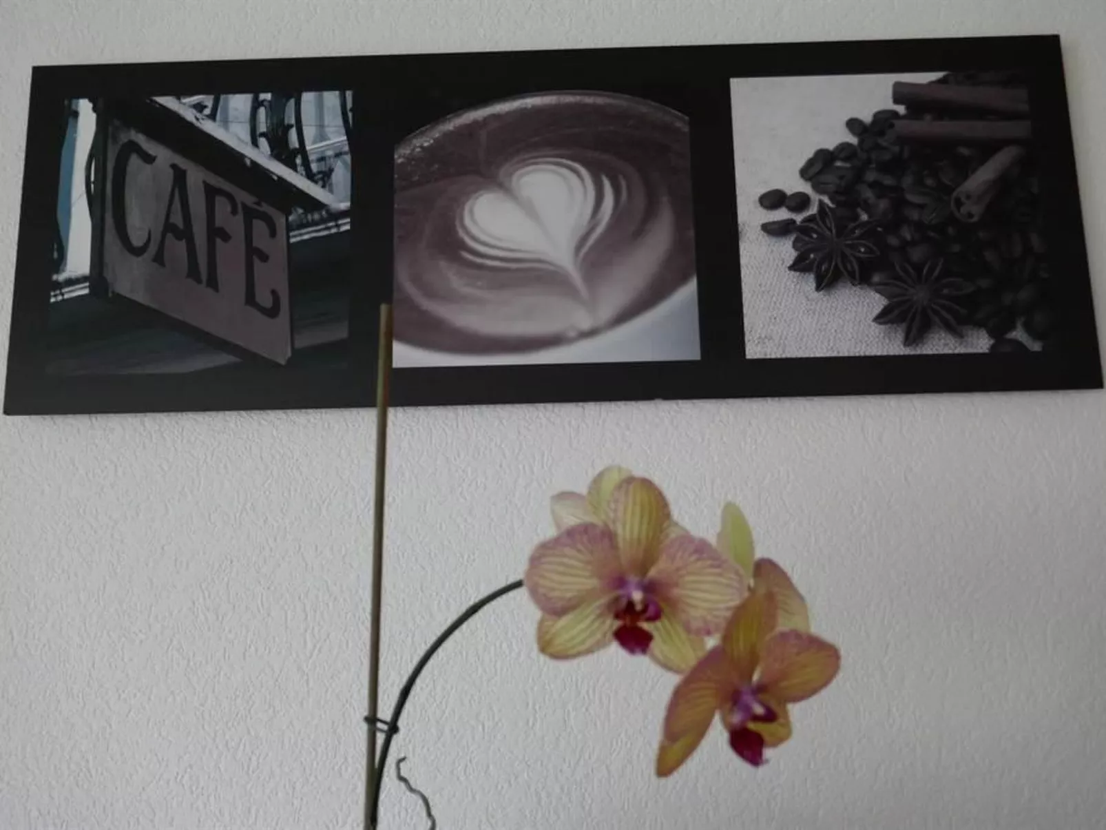 Haus Artemis-Inside