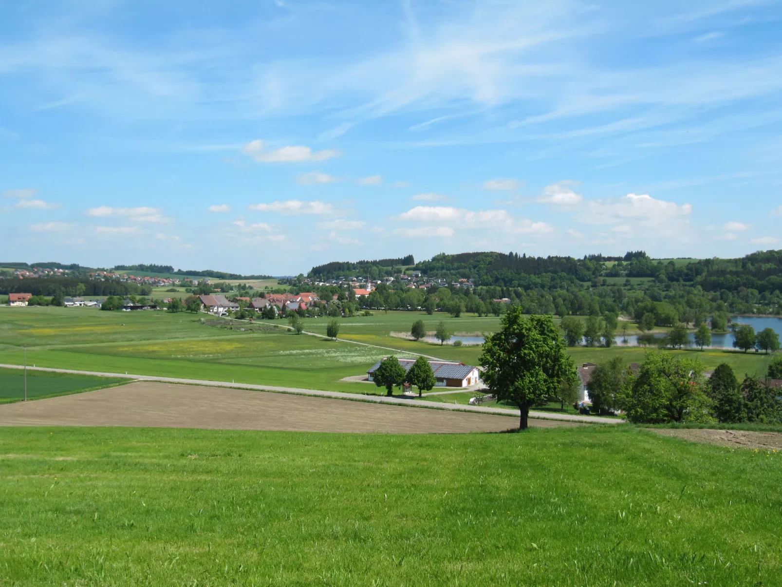 Riedblick II-Area