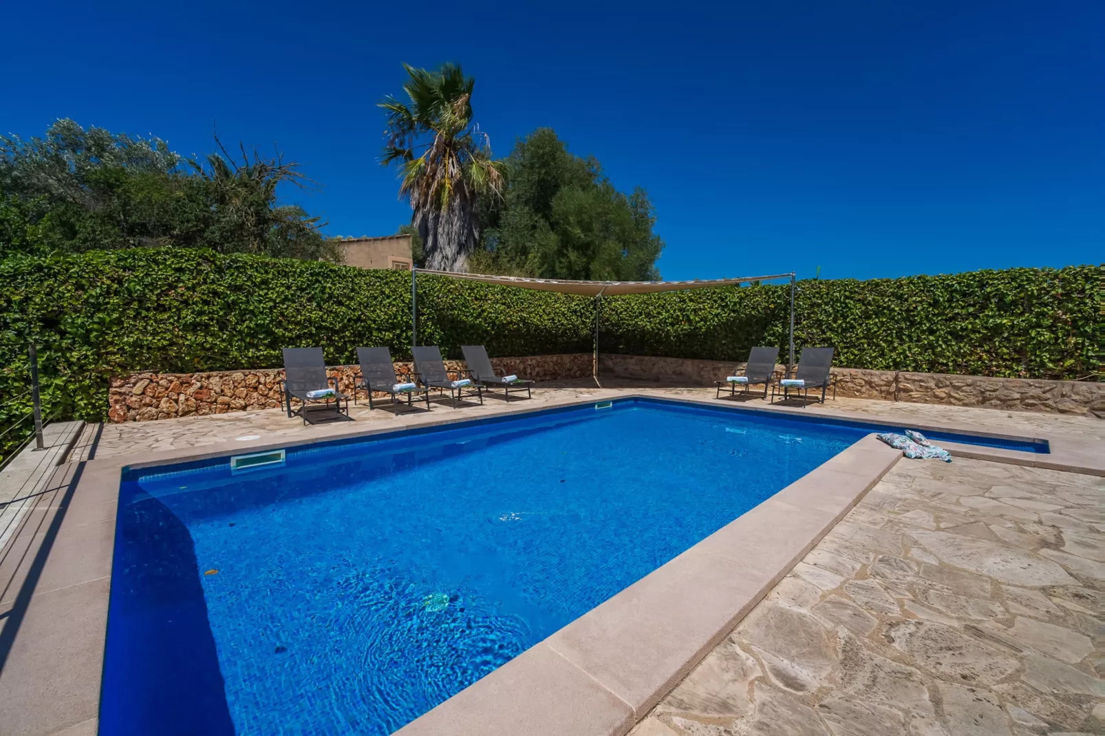 Son Frau-Pool