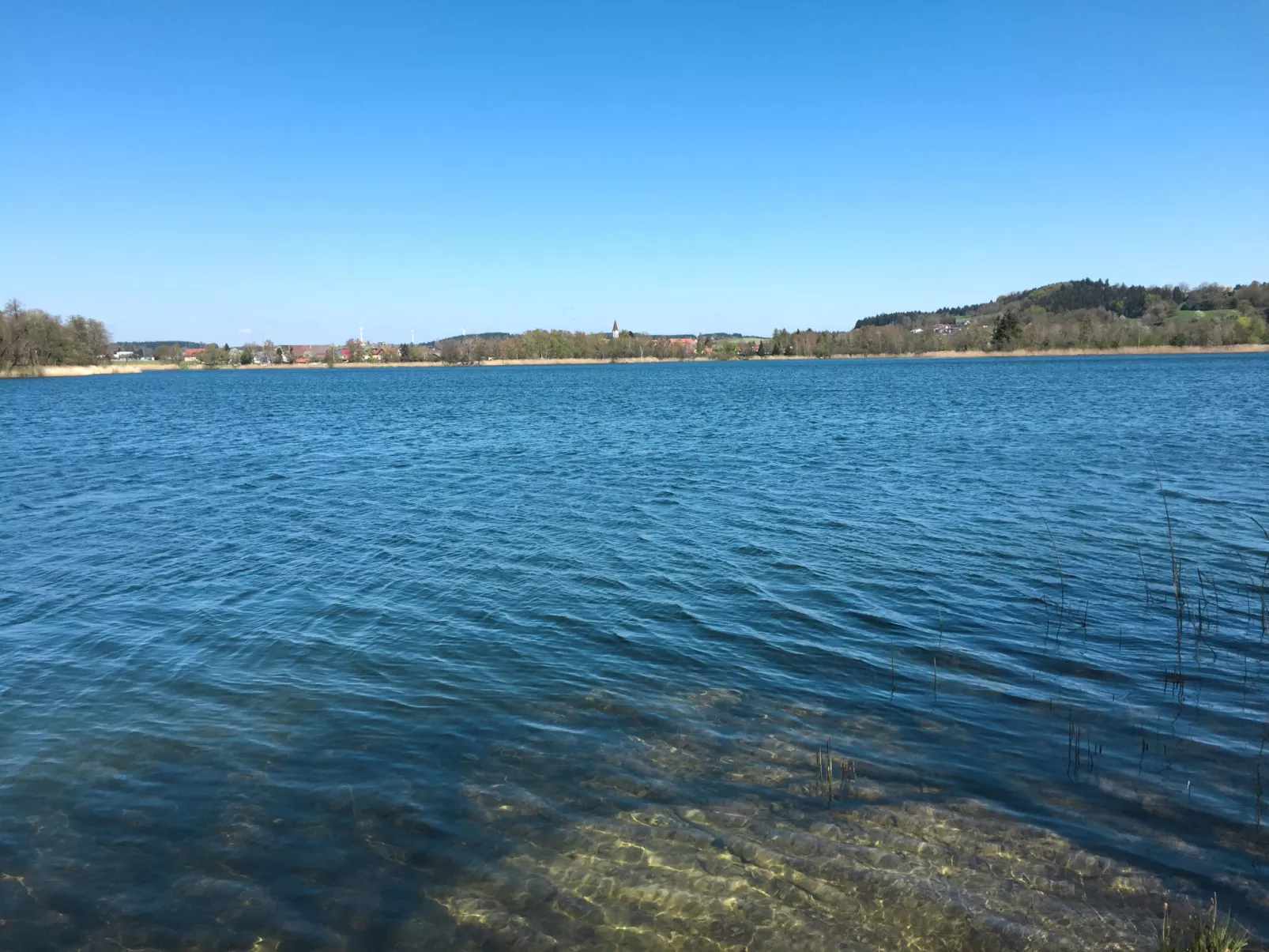 Riedblick II-Area