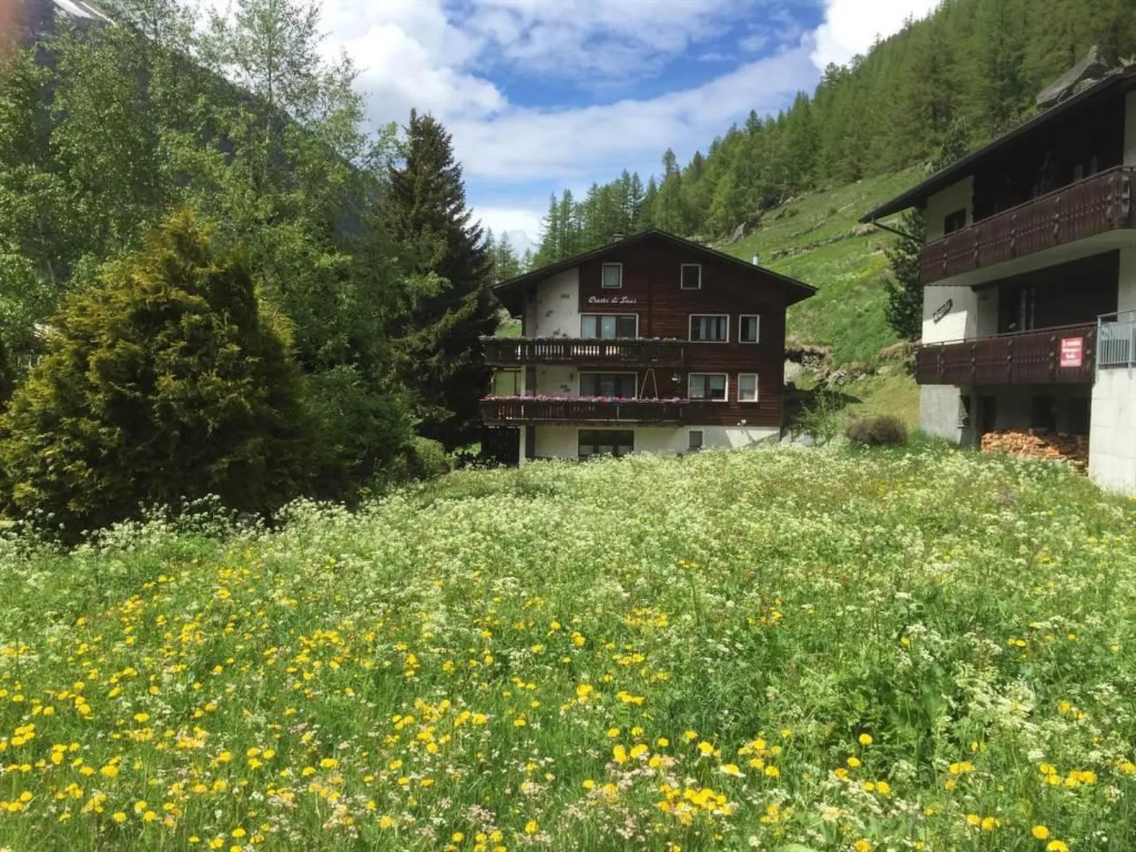 Cresta di Saas - 10346135