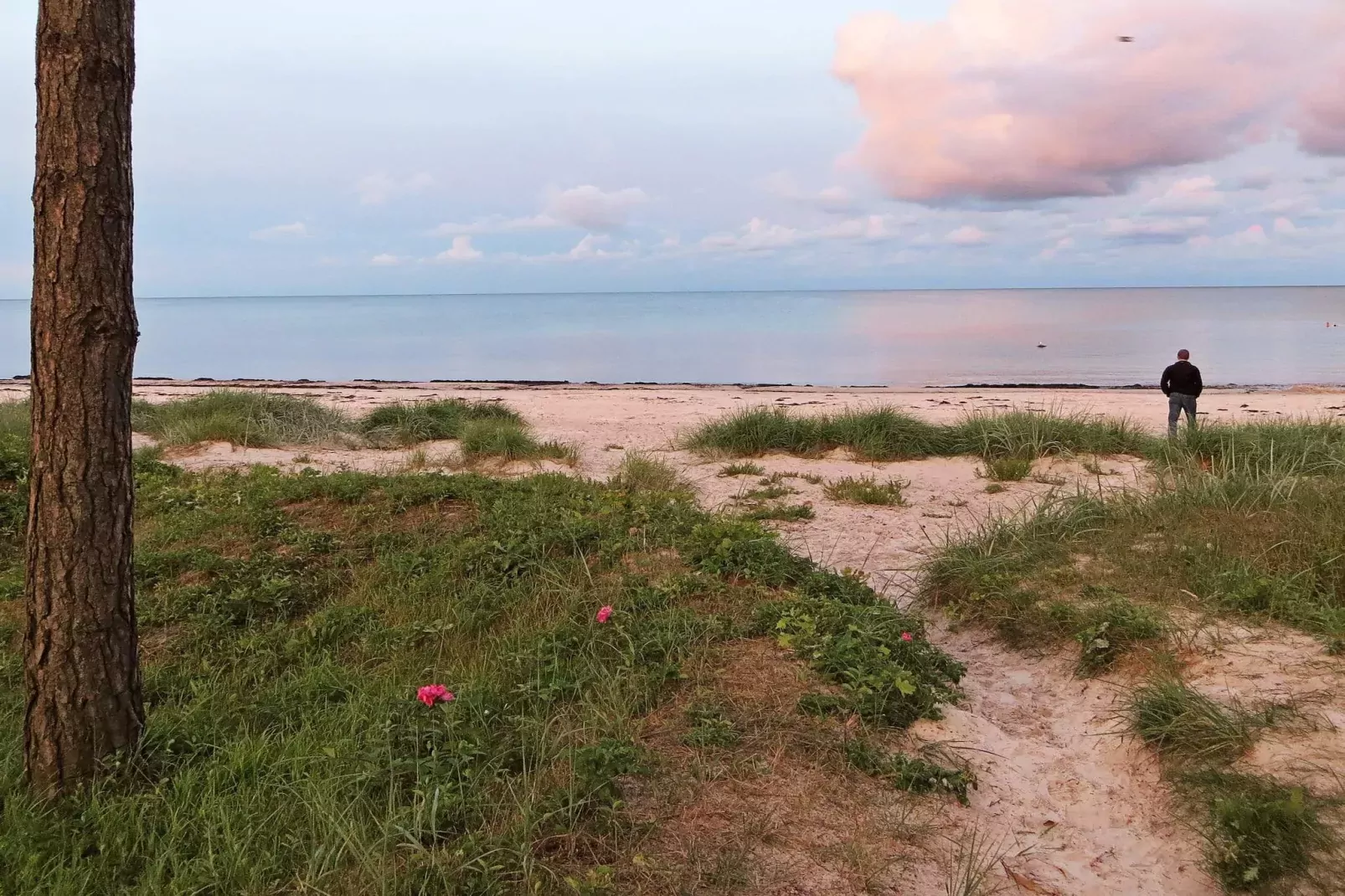 4 star holiday home in Nexø-Not tagged
