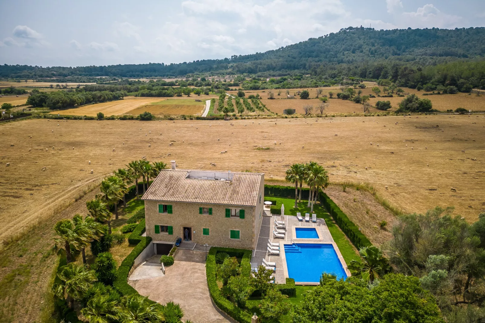 El Palmeral-Outdoor